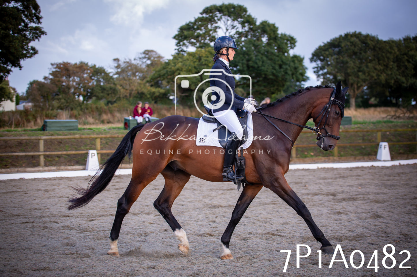 JHOYS 2025 - Dressage - 13th September