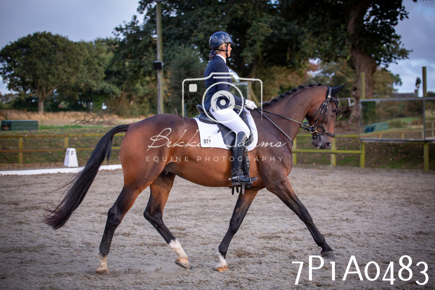 JHOYS 2025 - Dressage - 13th September