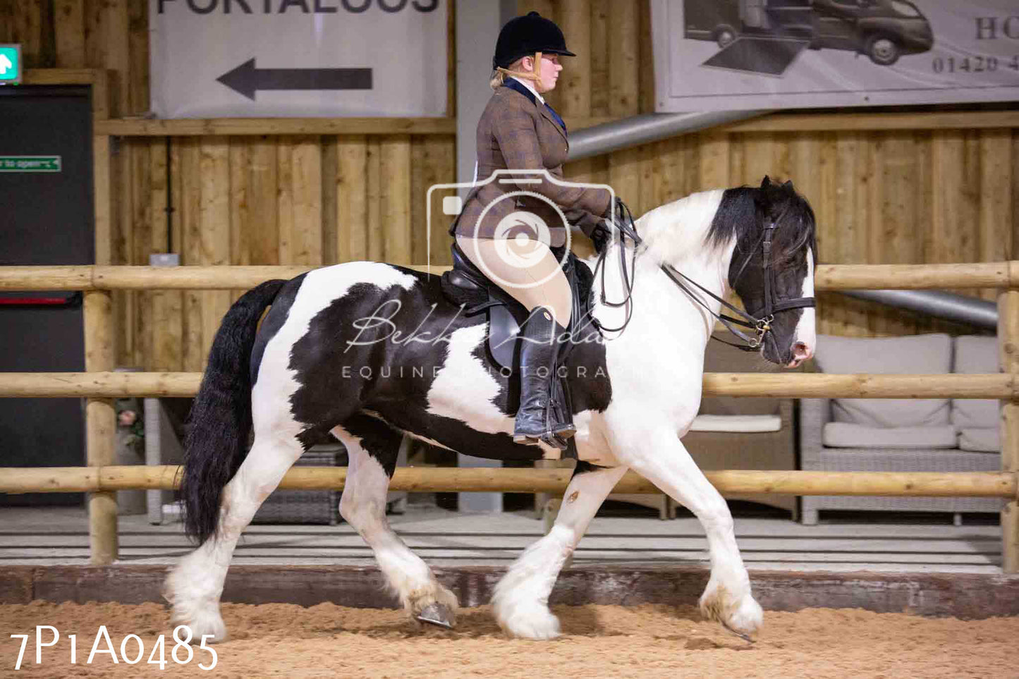 Home Farm Spring Show - Ridden Showing 24th March 2024 - Part 2