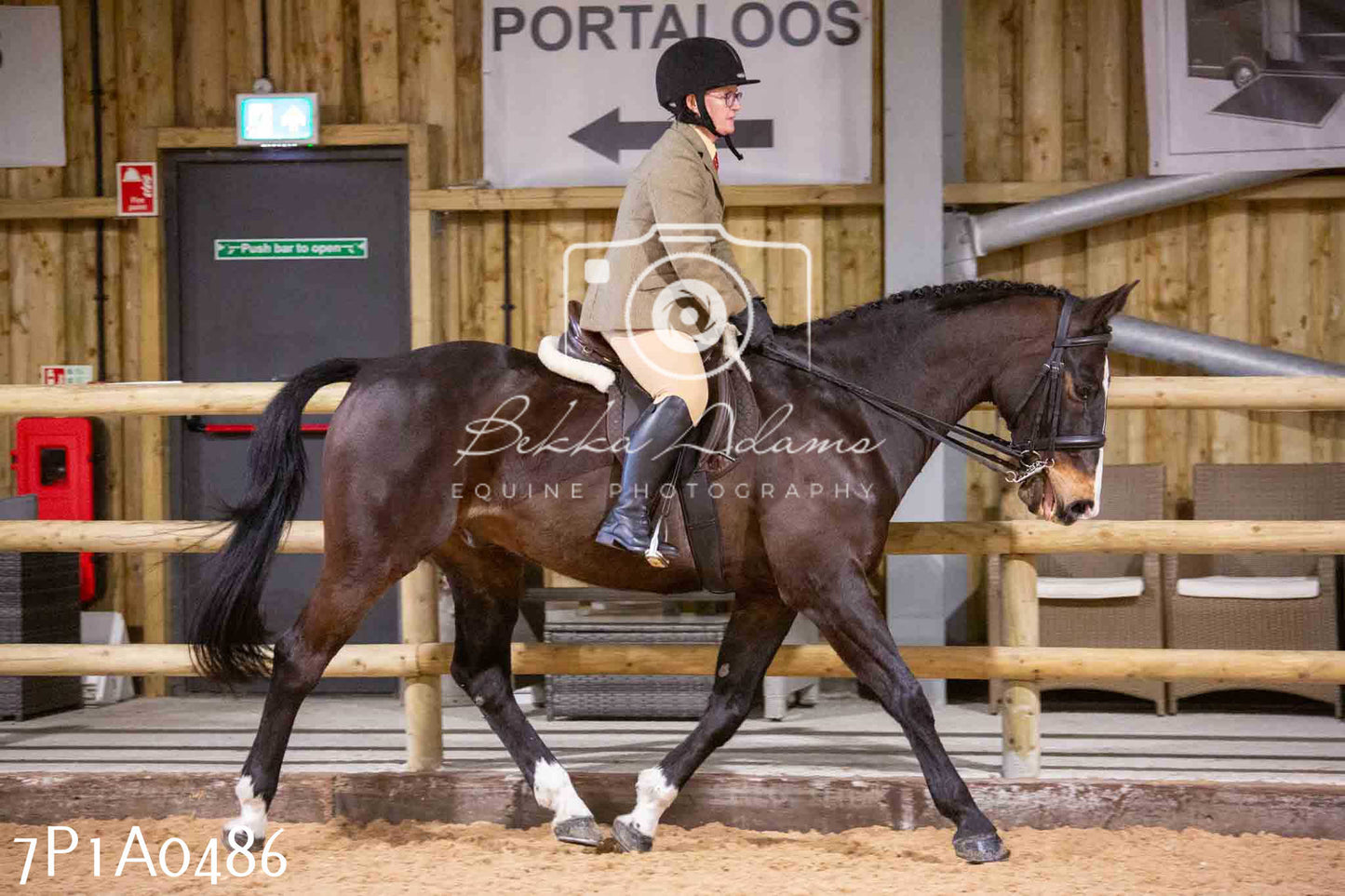 Home Farm Spring Show - Ridden Showing 24th March 2024 - Part 2