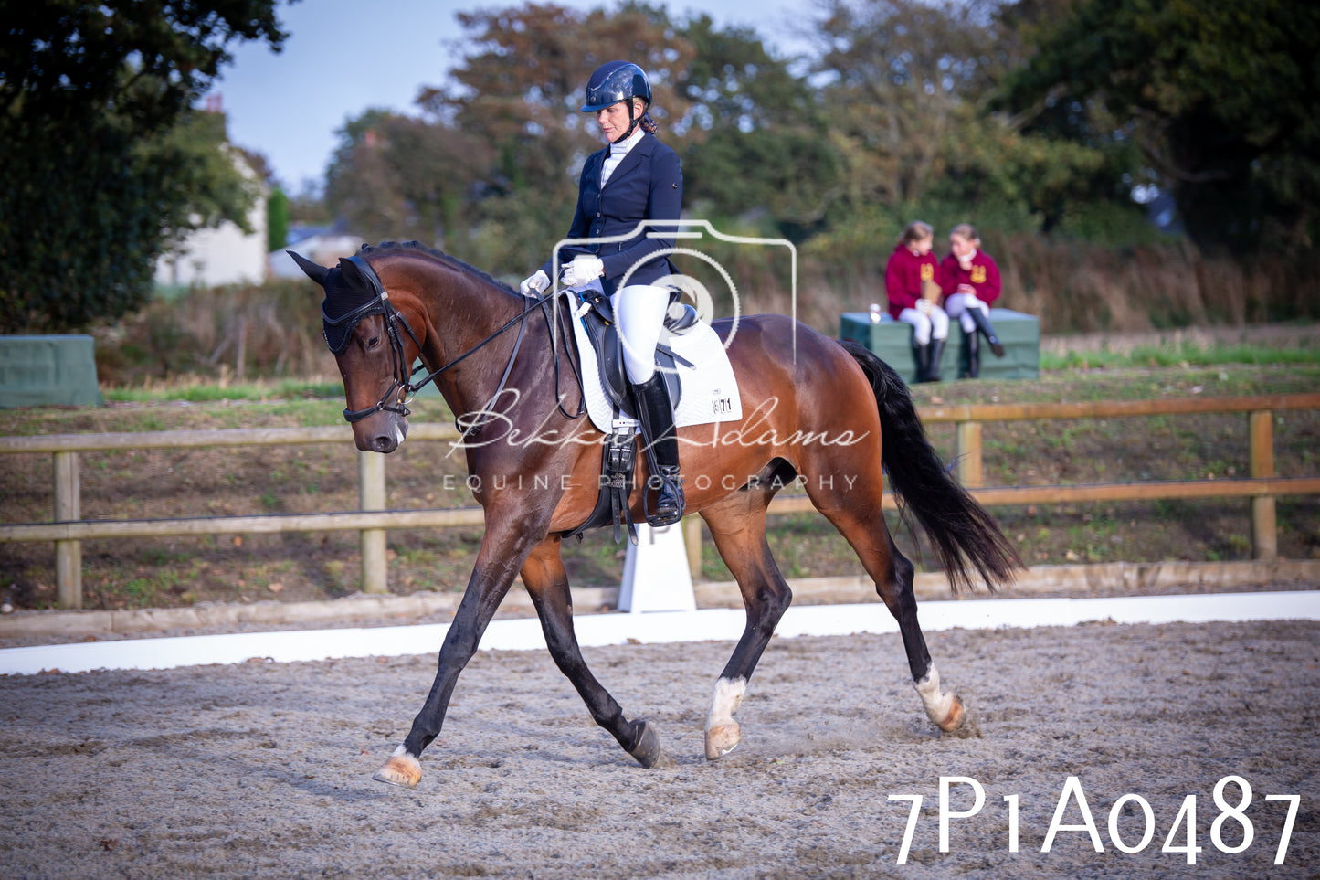 JHOYS 2025 - Dressage - 13th September