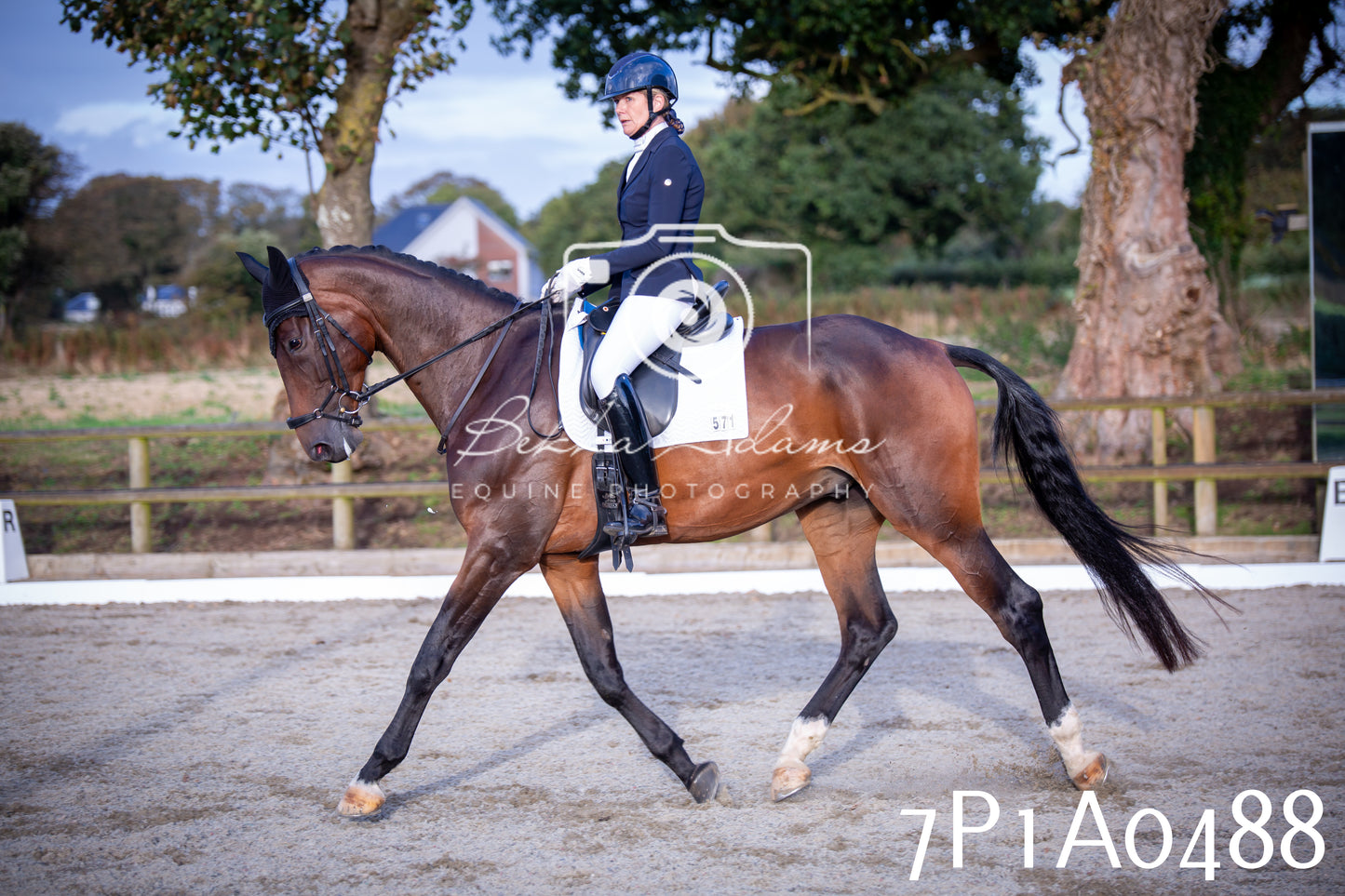 JHOYS 2025 - Dressage - 13th September