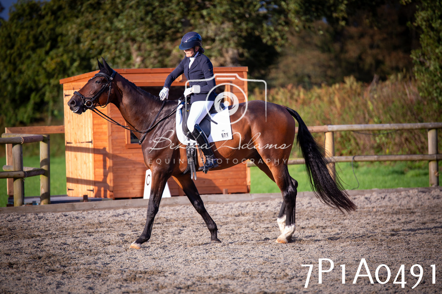 JHOYS 2025 - Dressage - 13th September