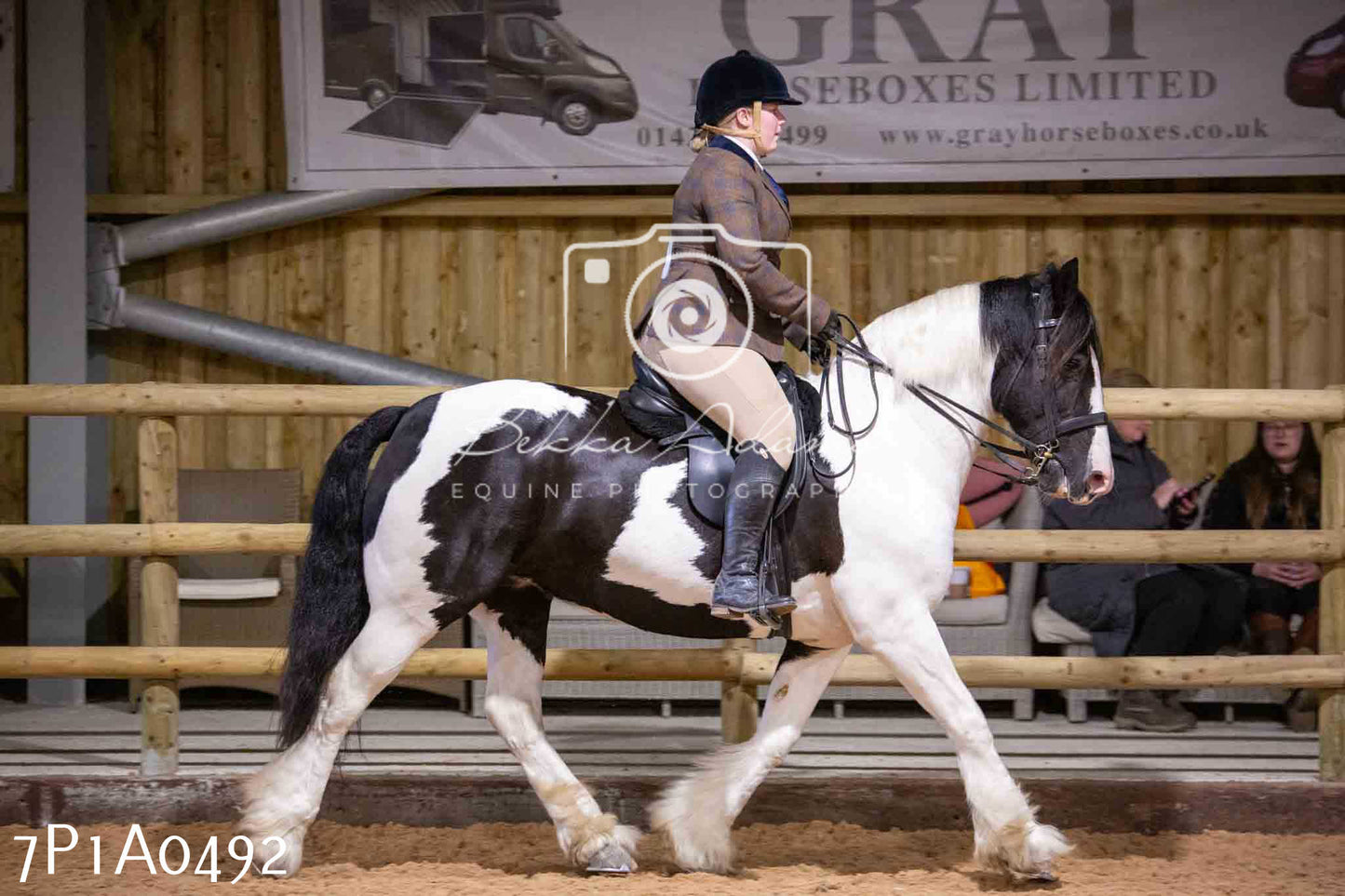 Home Farm Spring Show - Ridden Showing 24th March 2024 - Part 2