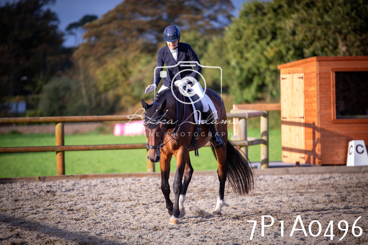 JHOYS 2025 - Dressage - 13th September