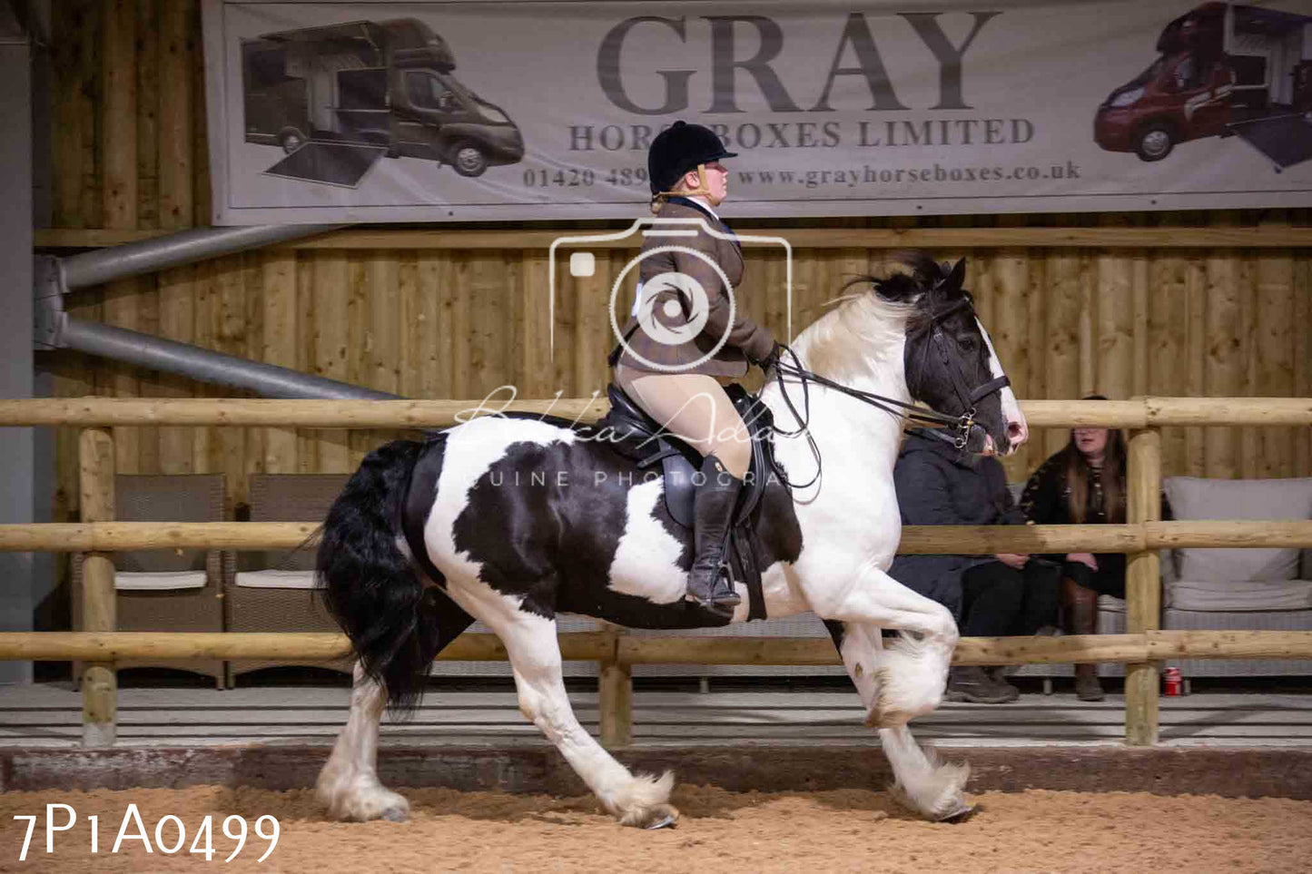 Home Farm Spring Show - Ridden Showing 24th March 2024 - Part 2