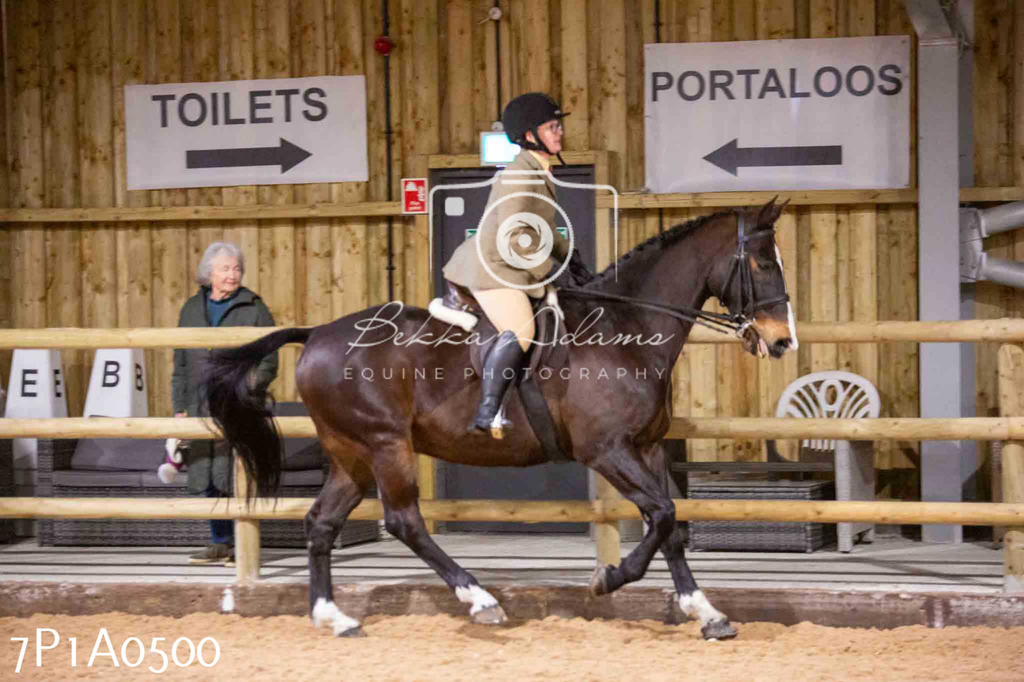 Home Farm Spring Show - Ridden Showing 24th March 2024 - Part 2
