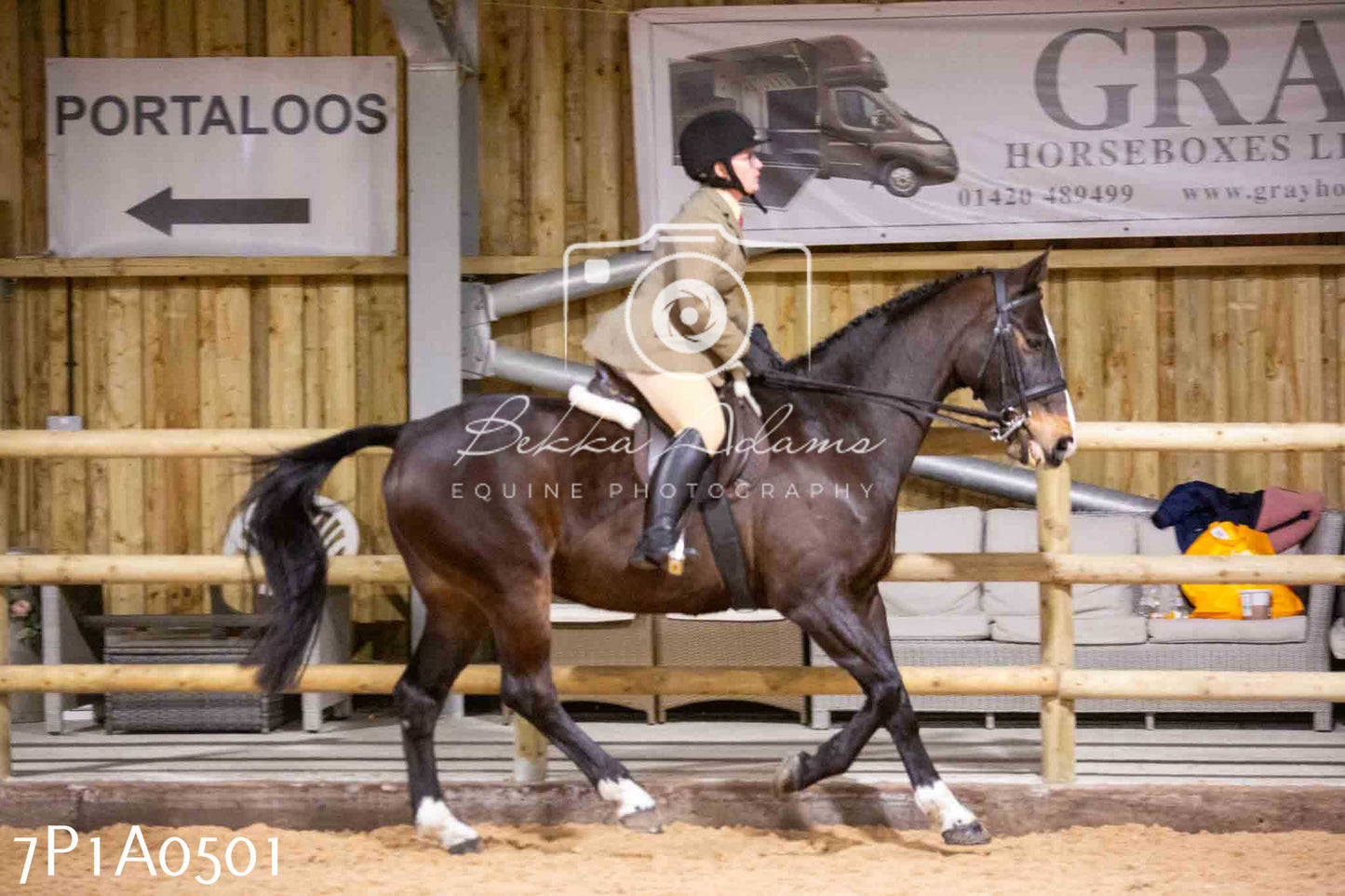 Home Farm Spring Show - Ridden Showing 24th March 2024 - Part 2