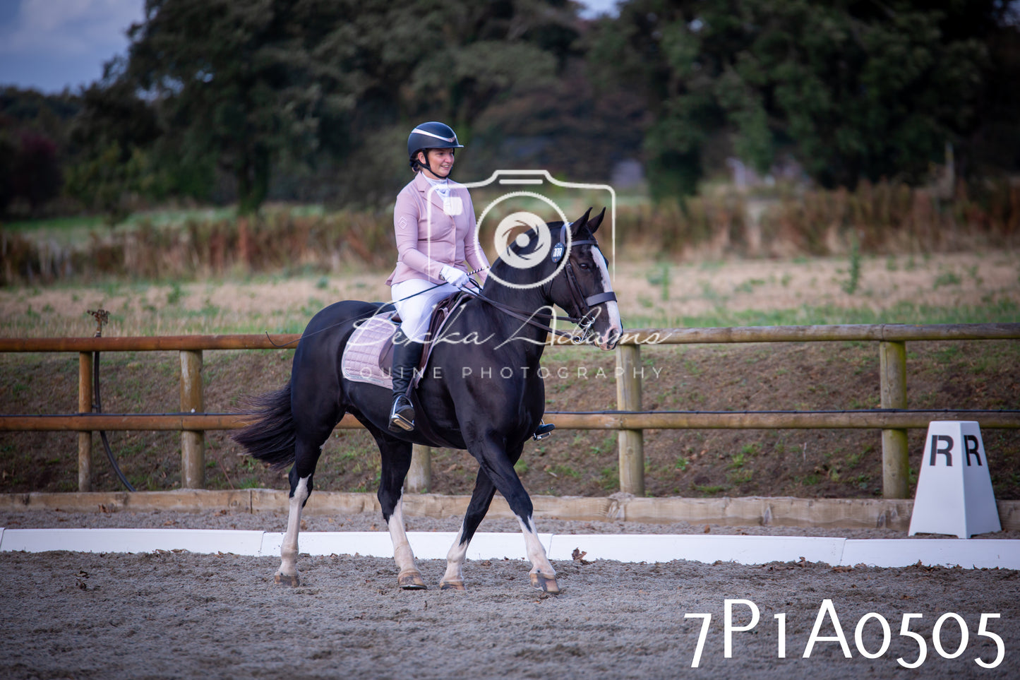 JHOYS 2025 - Dressage - 13th September