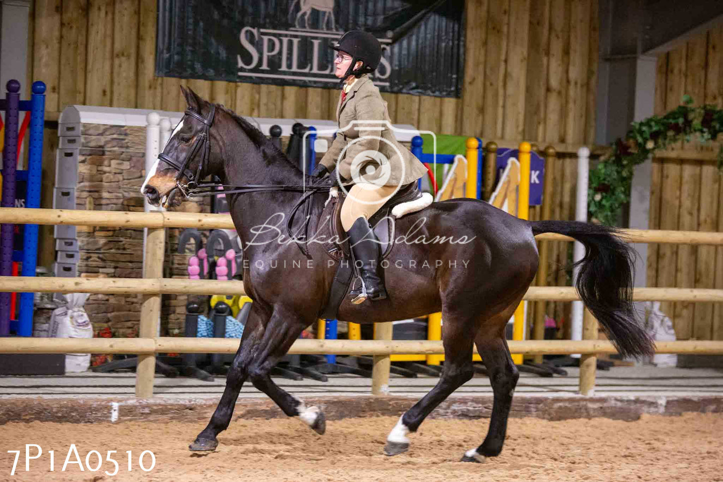 Home Farm Spring Show - Ridden Showing 24th March 2024 - Part 2
