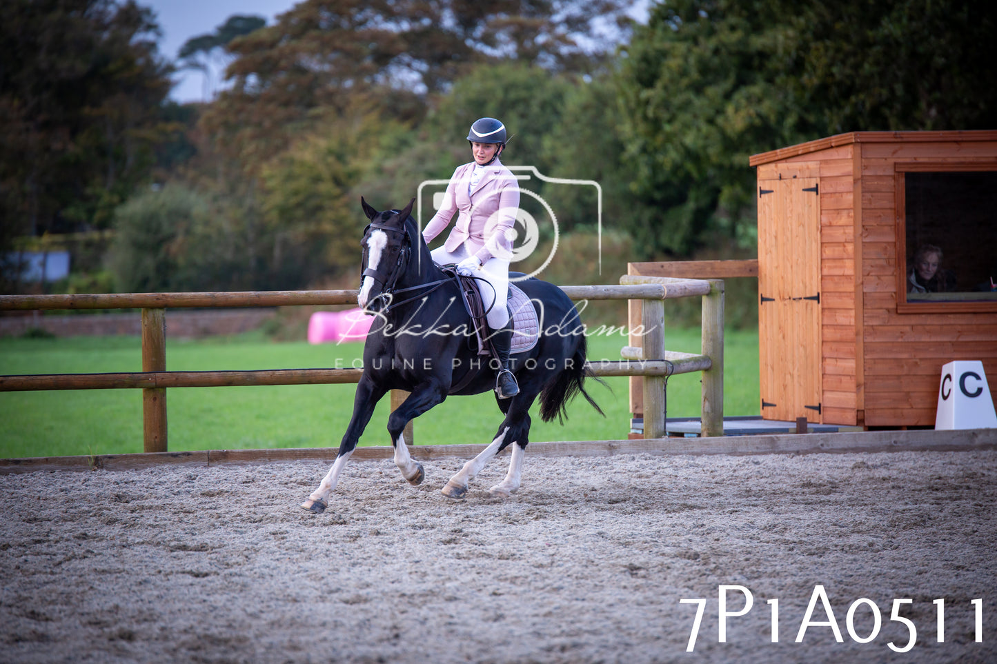 JHOYS 2025 - Dressage - 13th September