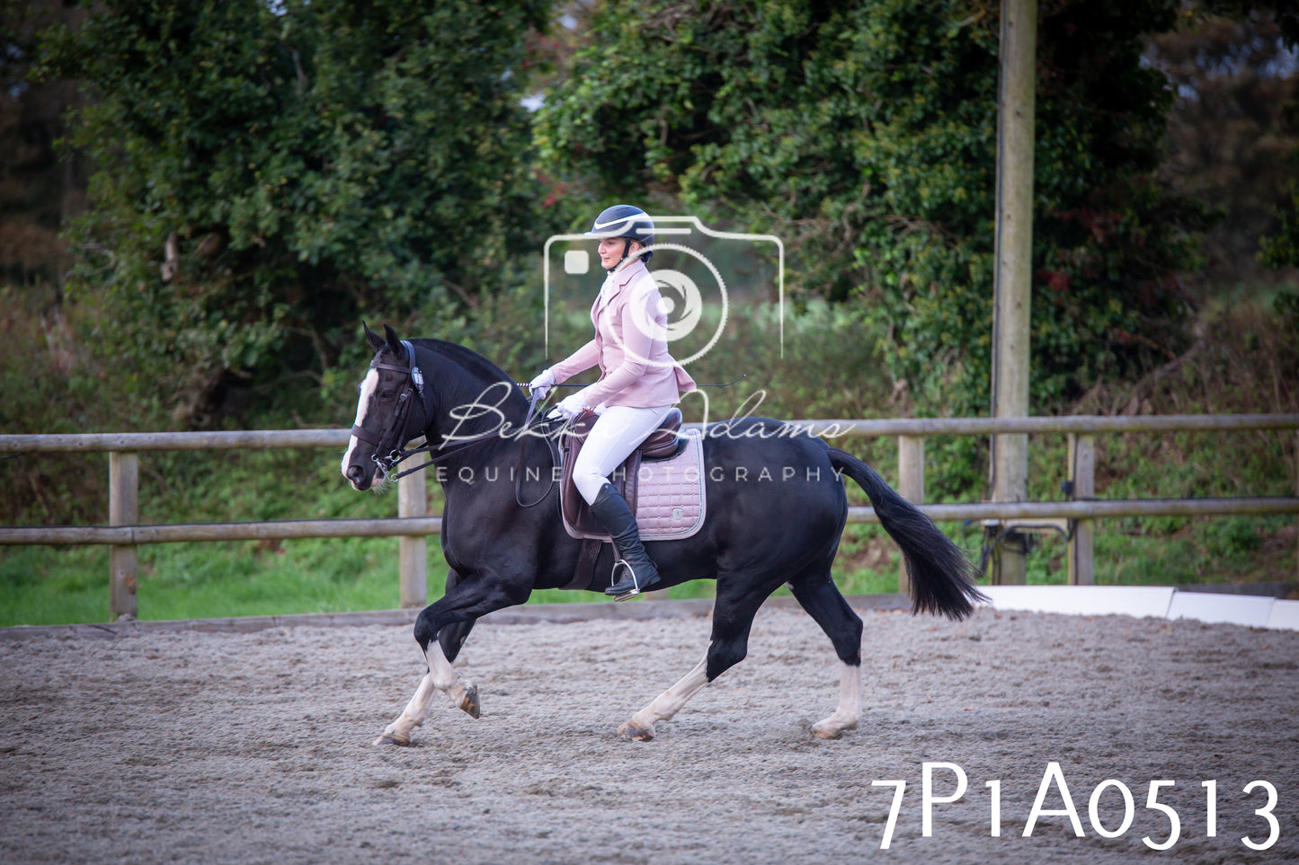 JHOYS 2025 - Dressage - 13th September