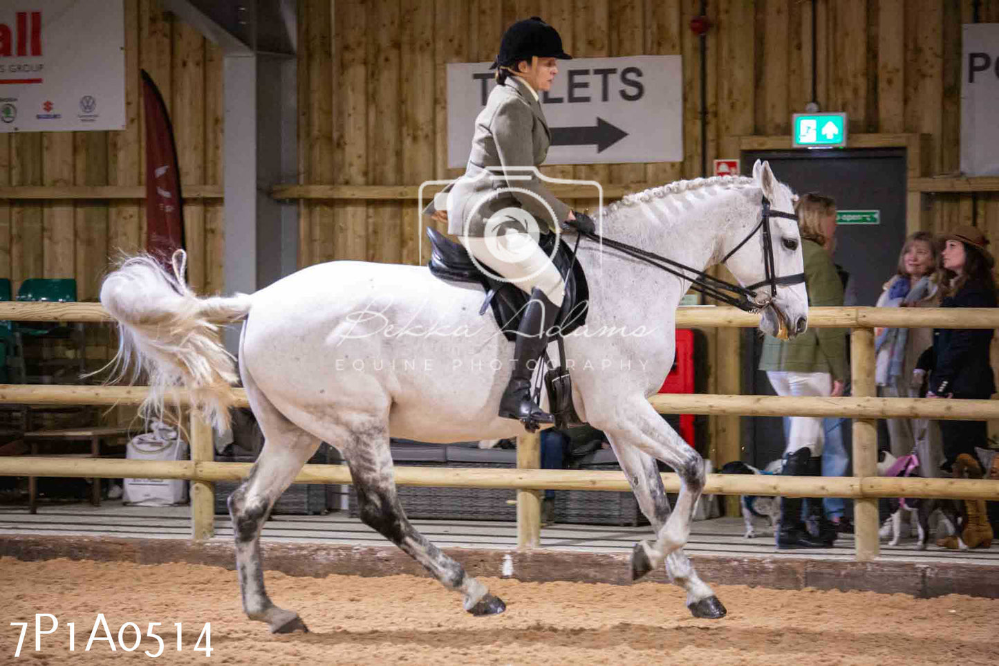 Home Farm Spring Show - Ridden Showing 24th March 2024 - Part 2