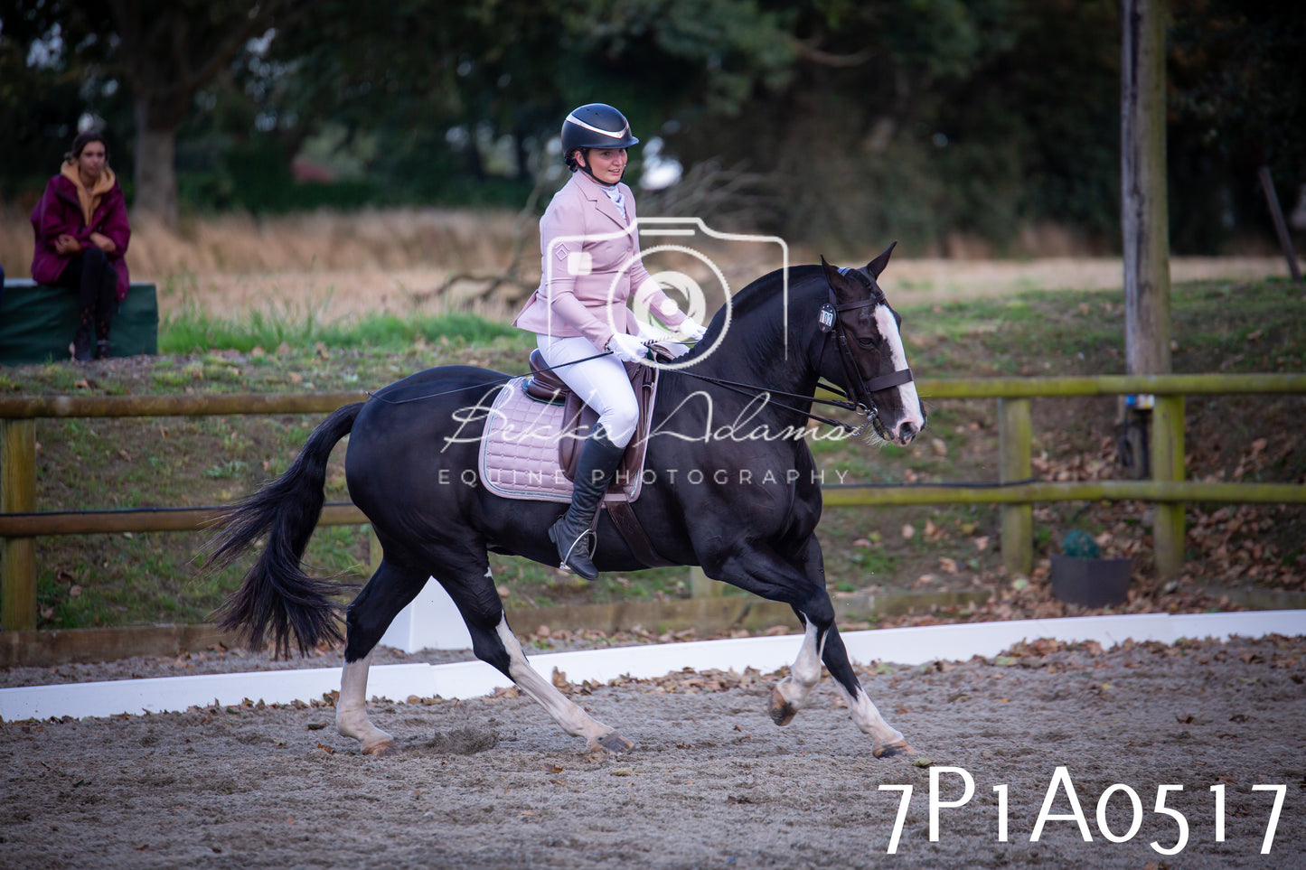 JHOYS 2025 - Dressage - 13th September