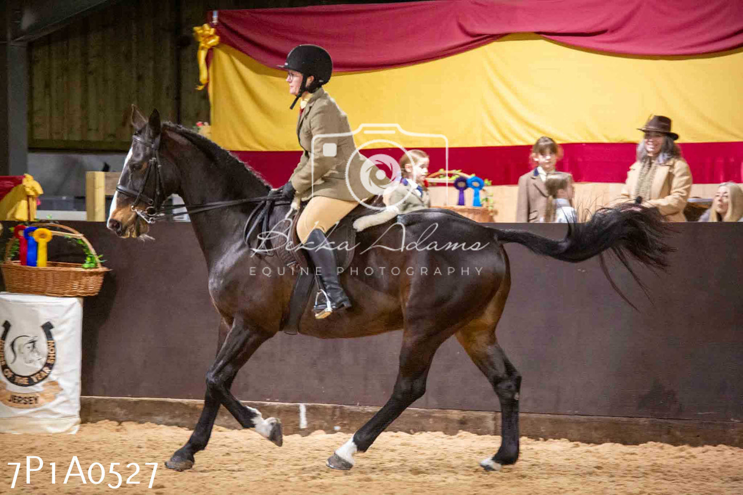 Home Farm Spring Show - Ridden Showing 24th March 2024 - Part 2