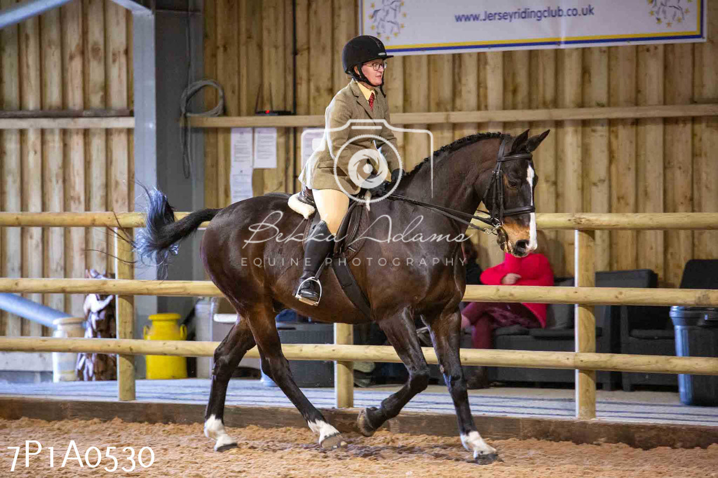 Home Farm Spring Show - Ridden Showing 24th March 2024 - Part 2