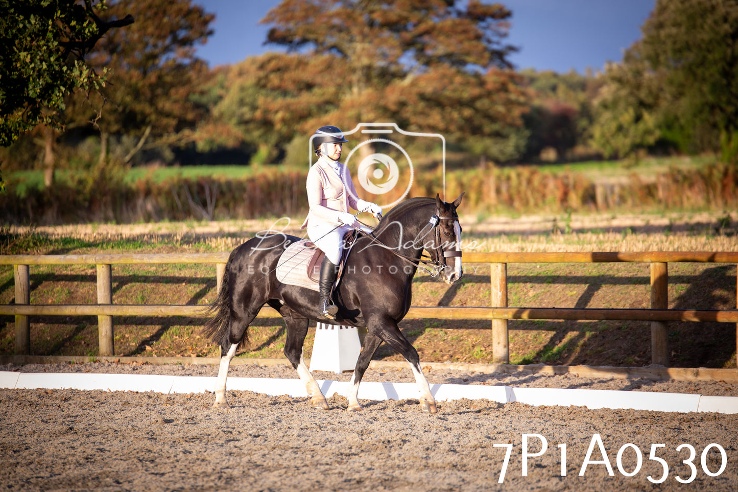 JHOYS 2025 - Dressage - 13th September