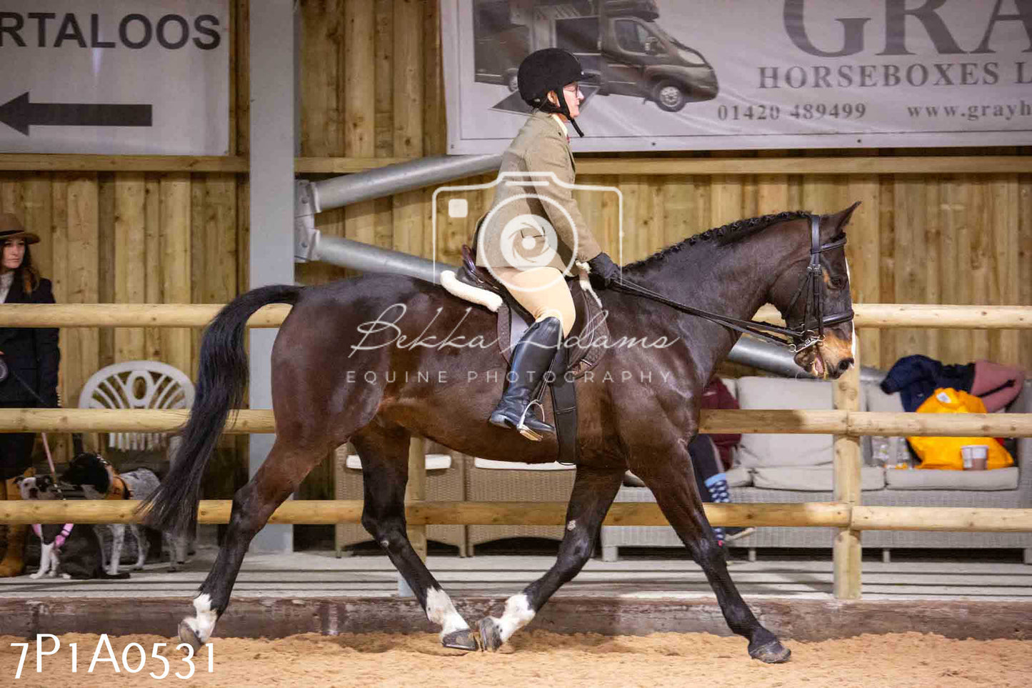 Home Farm Spring Show - Ridden Showing 24th March 2024 - Part 2