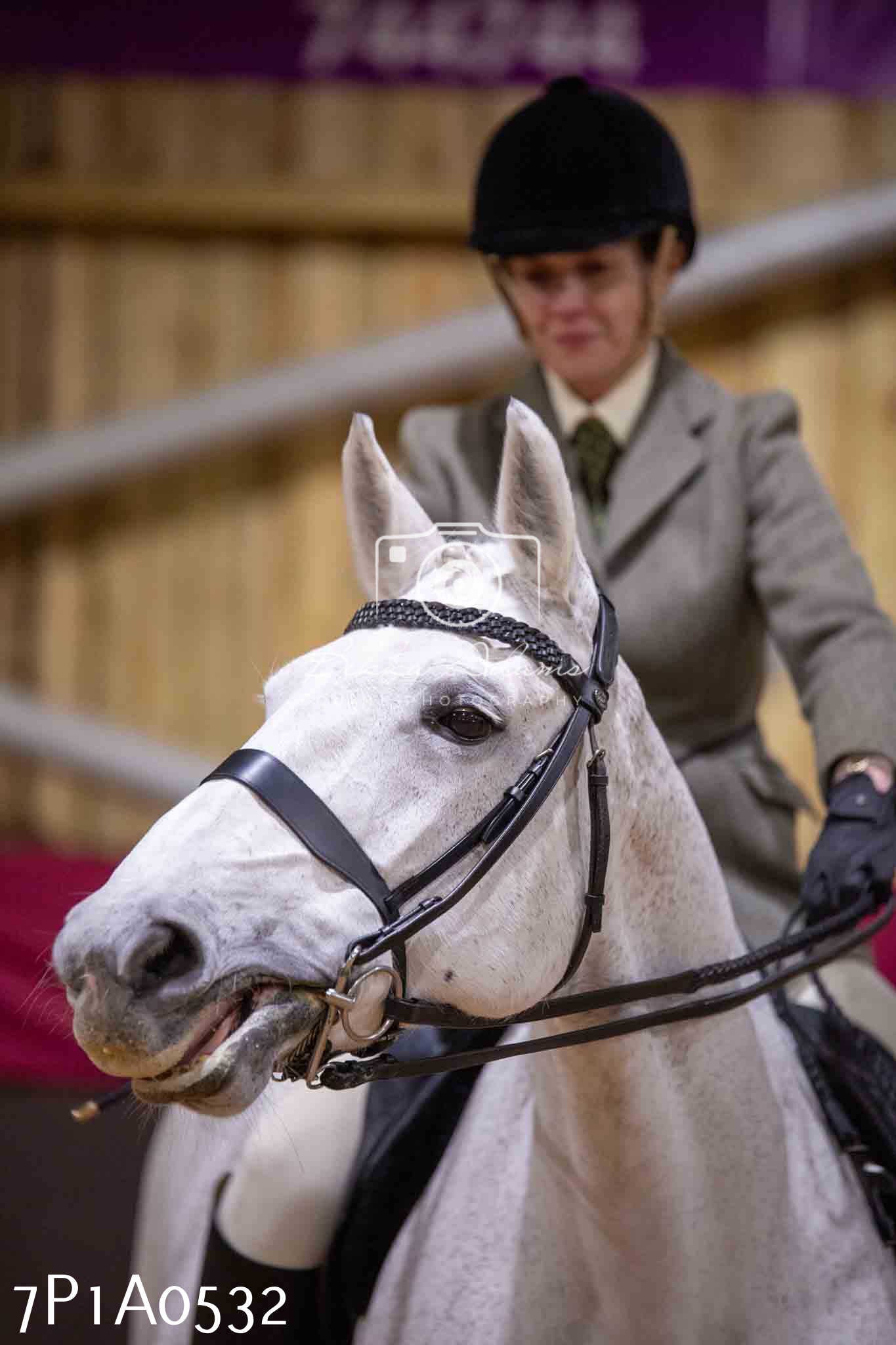 Home Farm Spring Show - Ridden Showing 24th March 2024 - Part 2