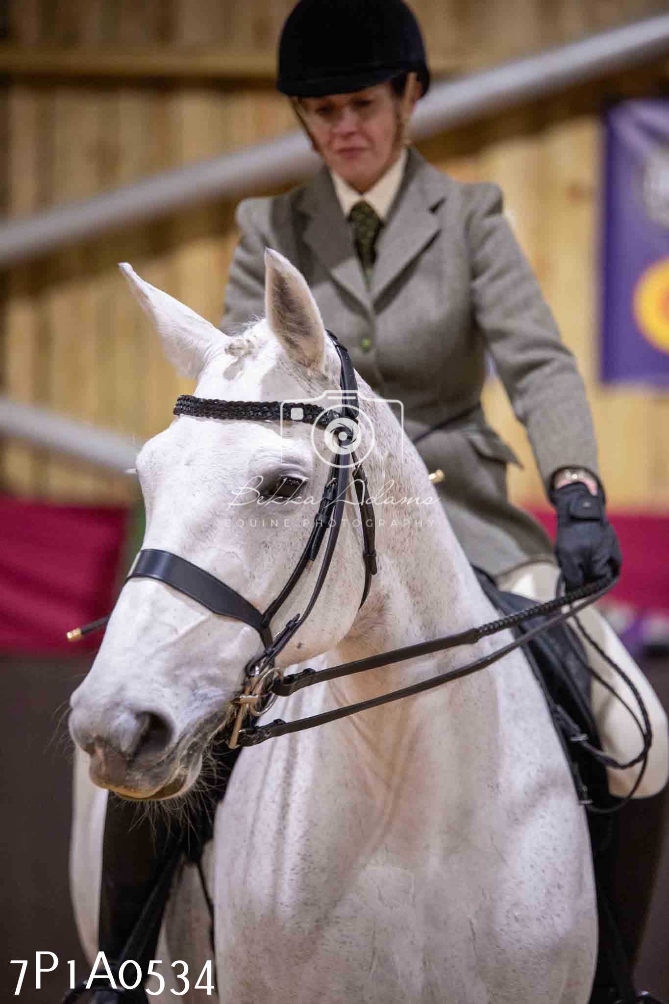 Home Farm Spring Show - Ridden Showing 24th March 2024 - Part 2