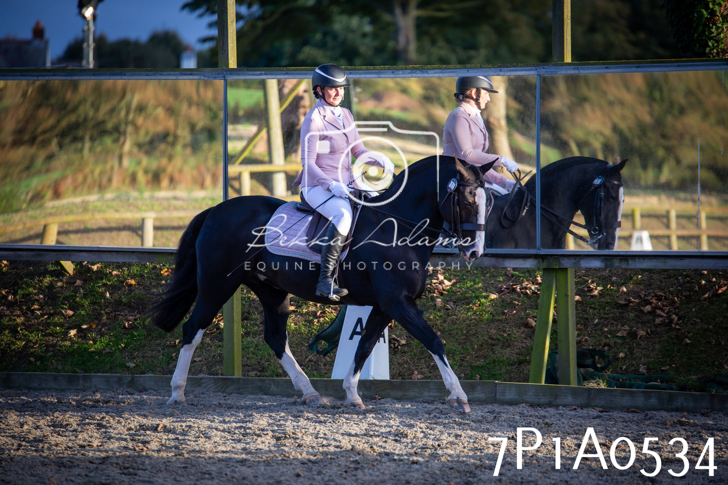JHOYS 2025 - Dressage - 13th September