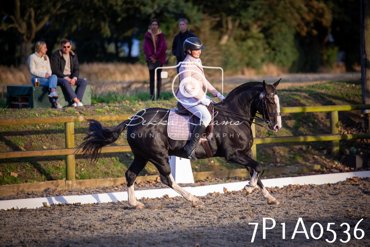 JHOYS 2025 - Dressage - 13th September