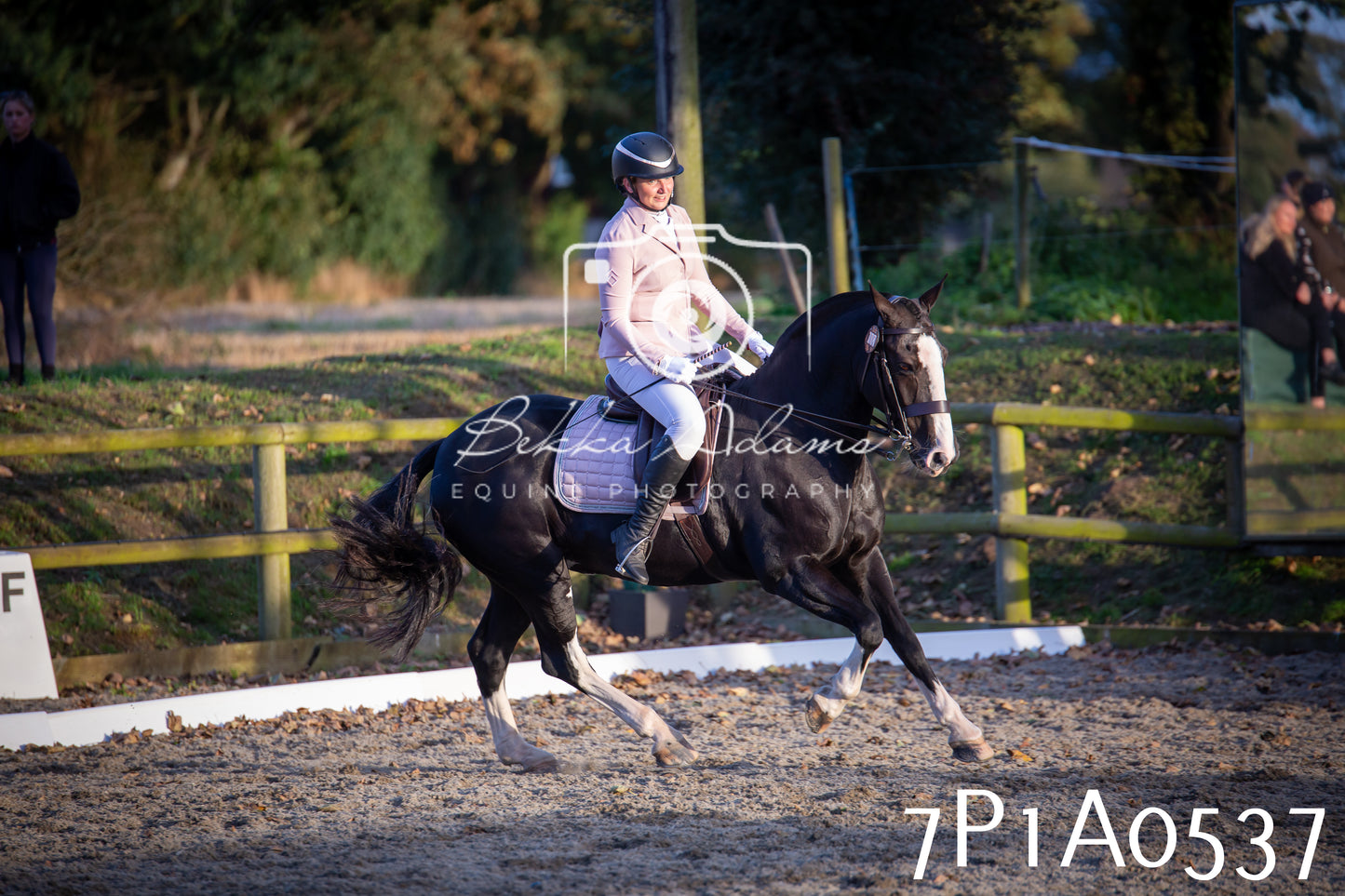 JHOYS 2025 - Dressage - 13th September