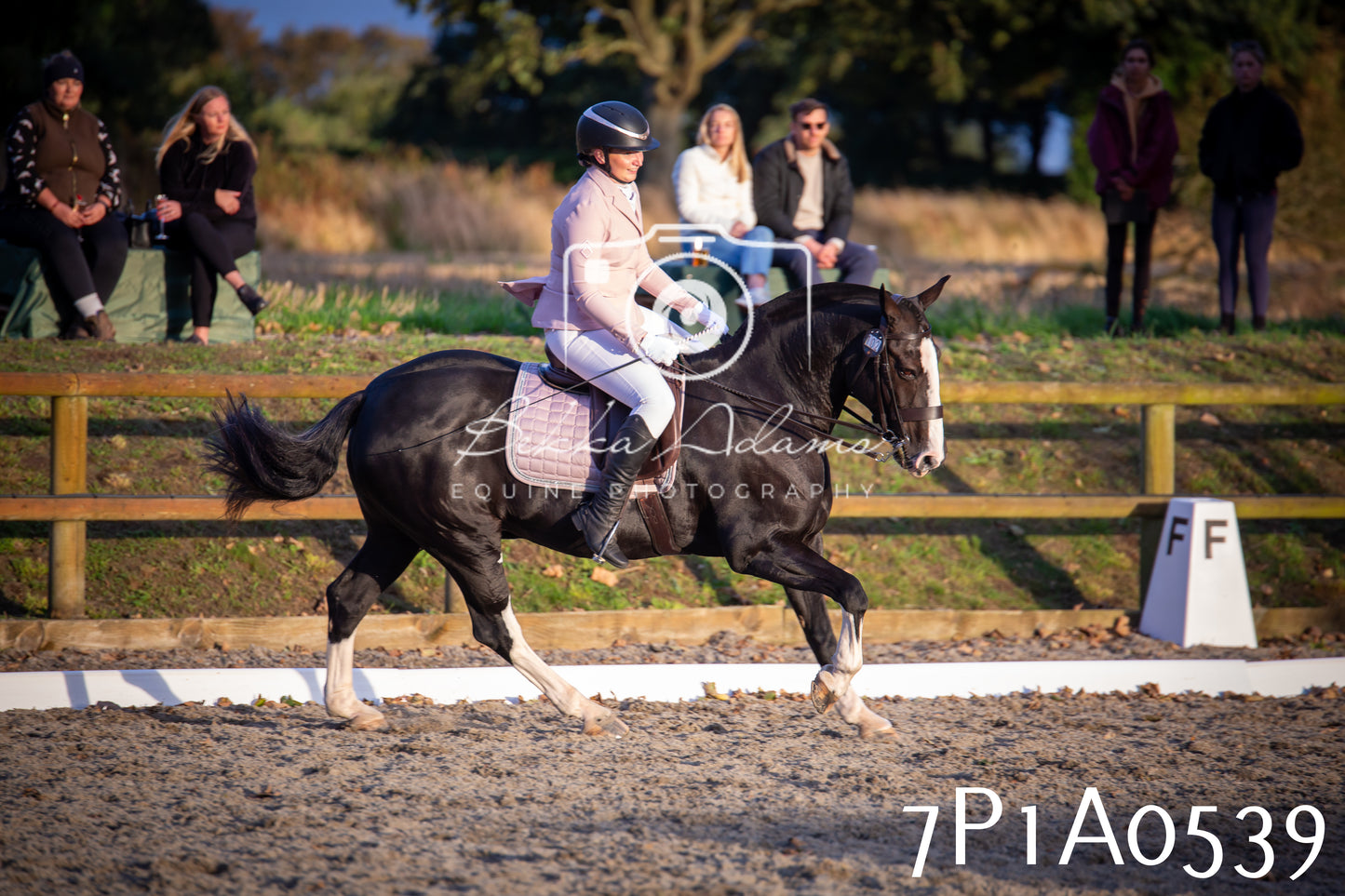 JHOYS 2025 - Dressage - 13th September