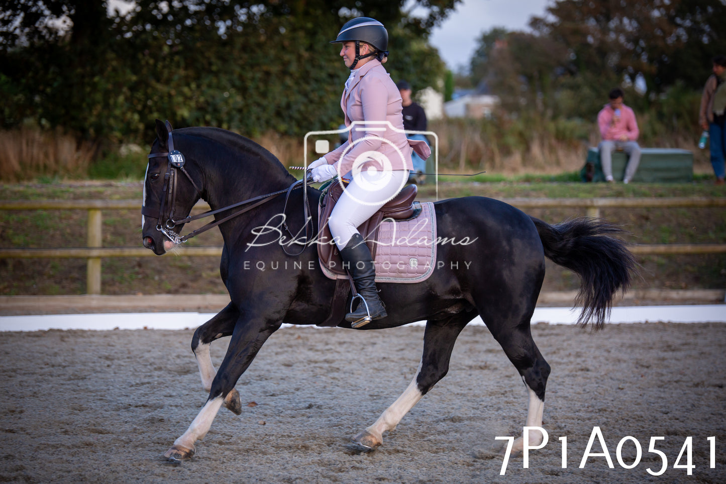 JHOYS 2025 - Dressage - 13th September