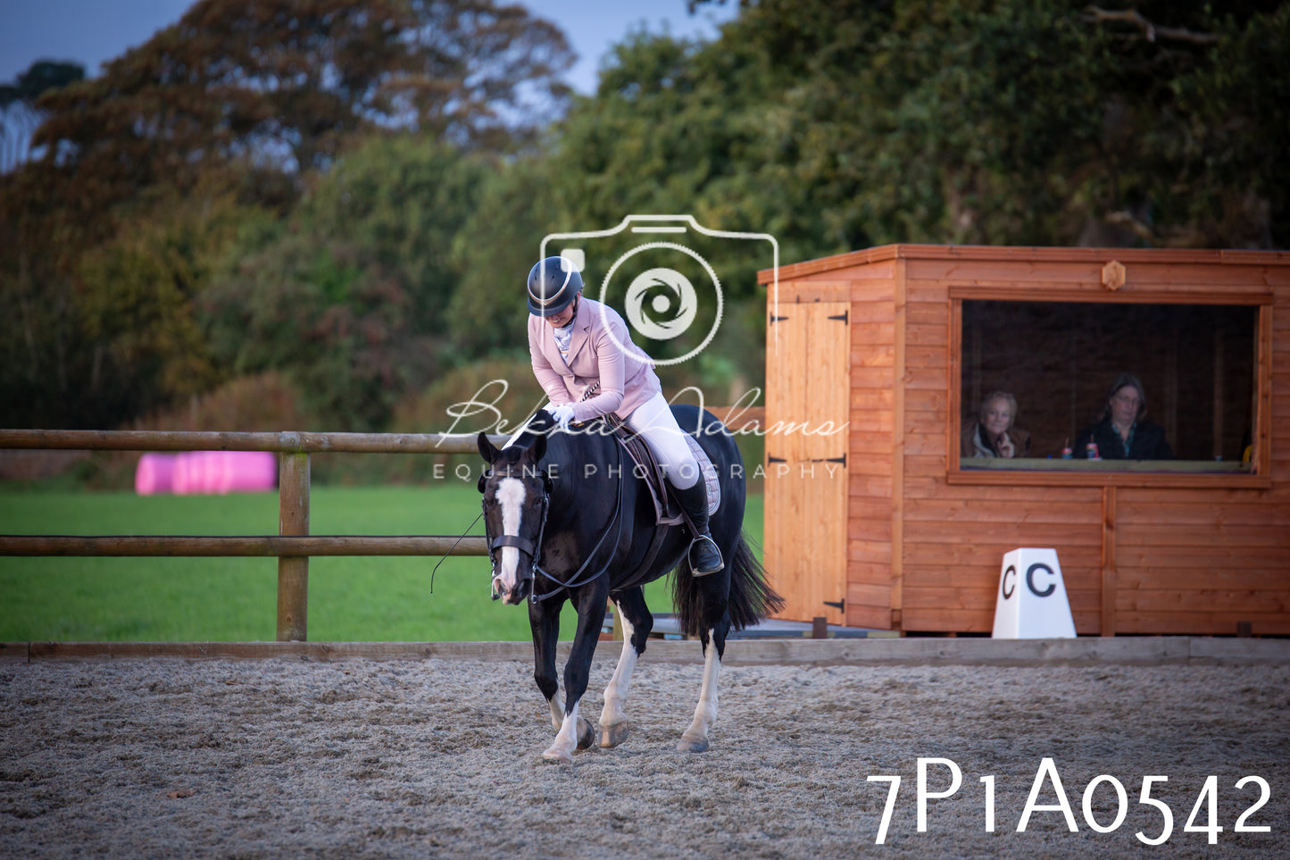 JHOYS 2025 - Dressage - 13th September