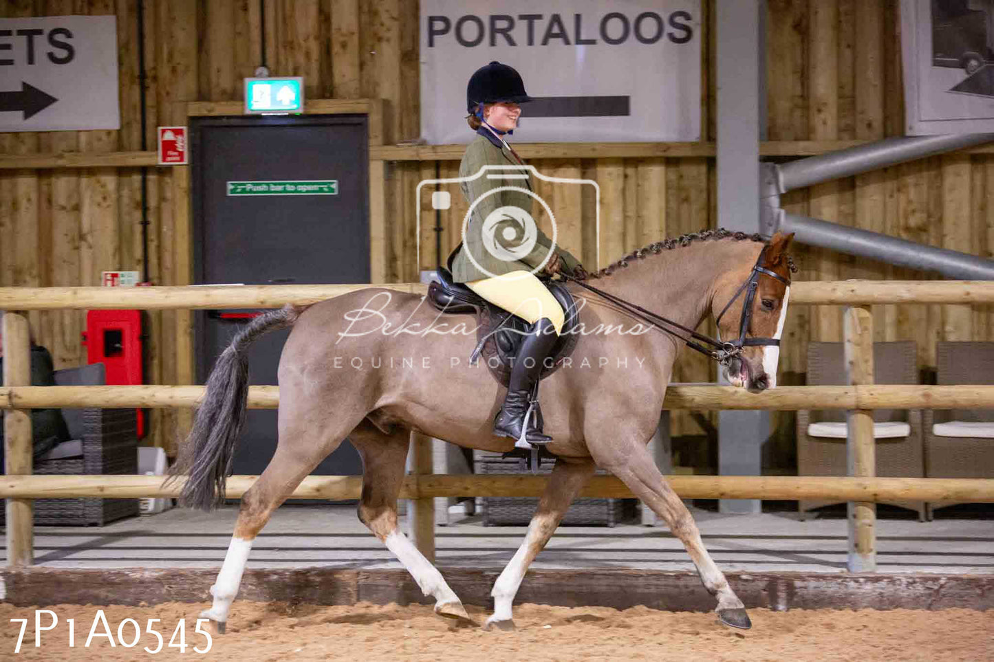 Home Farm Spring Show - Ridden Showing 24th March 2024 - Part 2