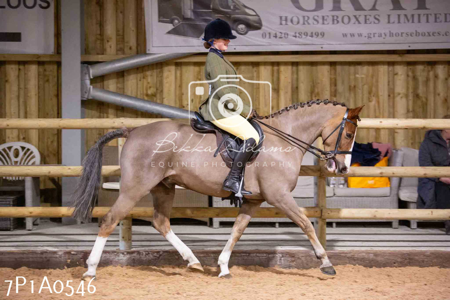 Home Farm Spring Show - Ridden Showing 24th March 2024 - Part 2