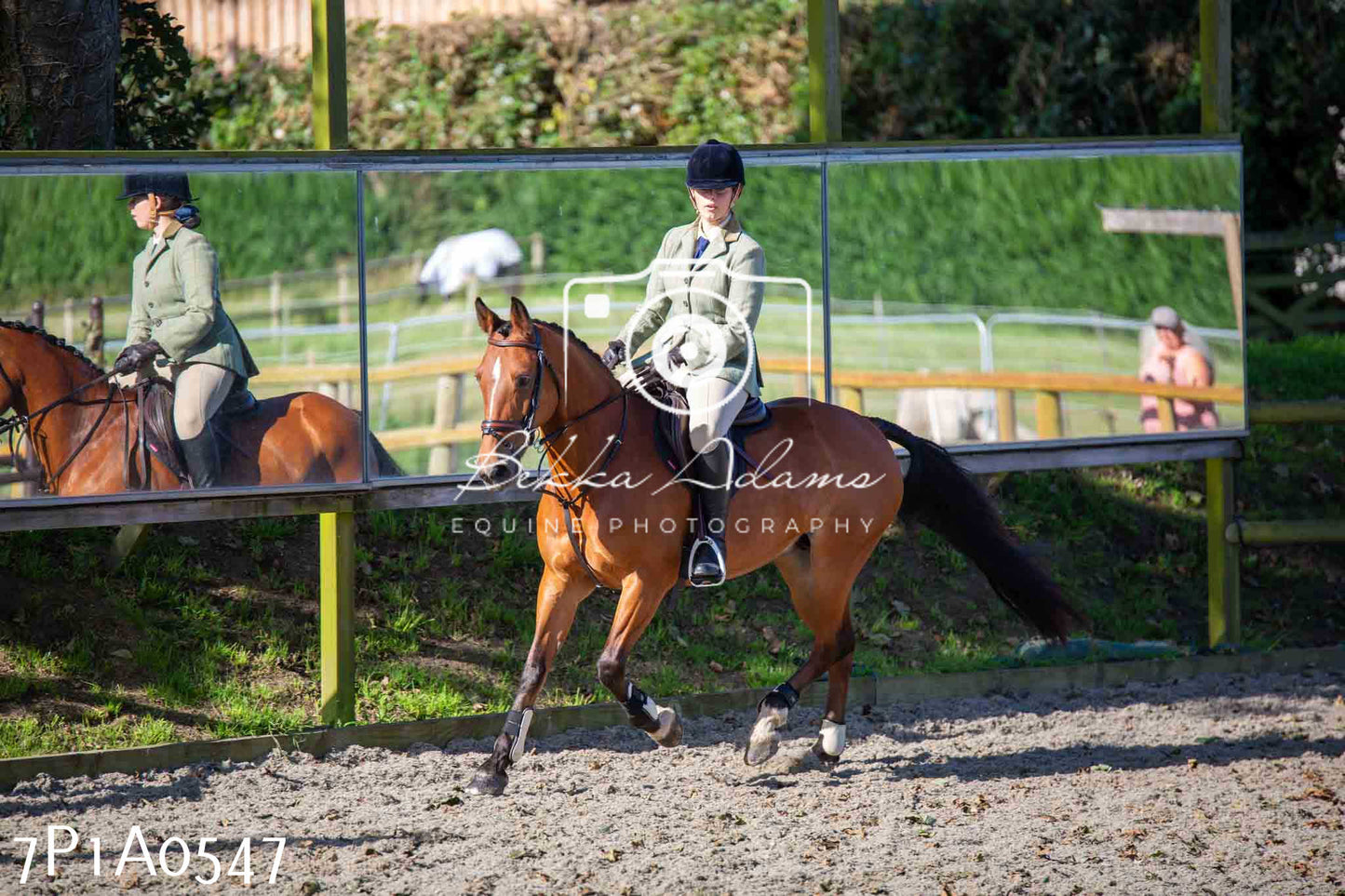 Home Farm Annual Show - Working Hunter 19th August 2023