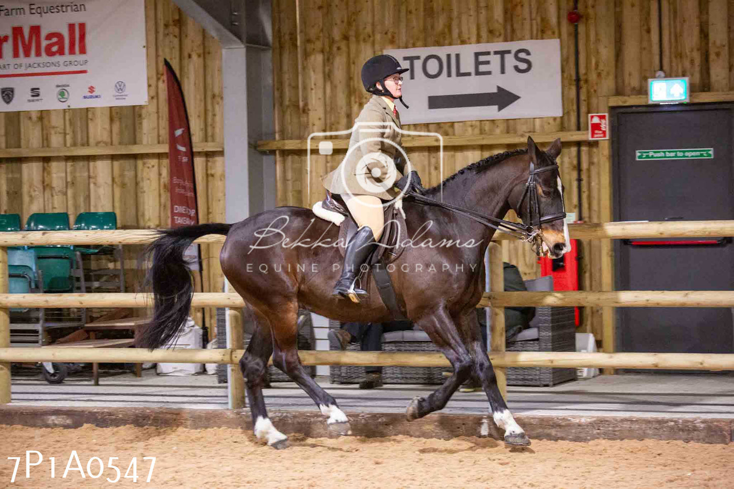 Home Farm Spring Show - Ridden Showing 24th March 2024 - Part 2