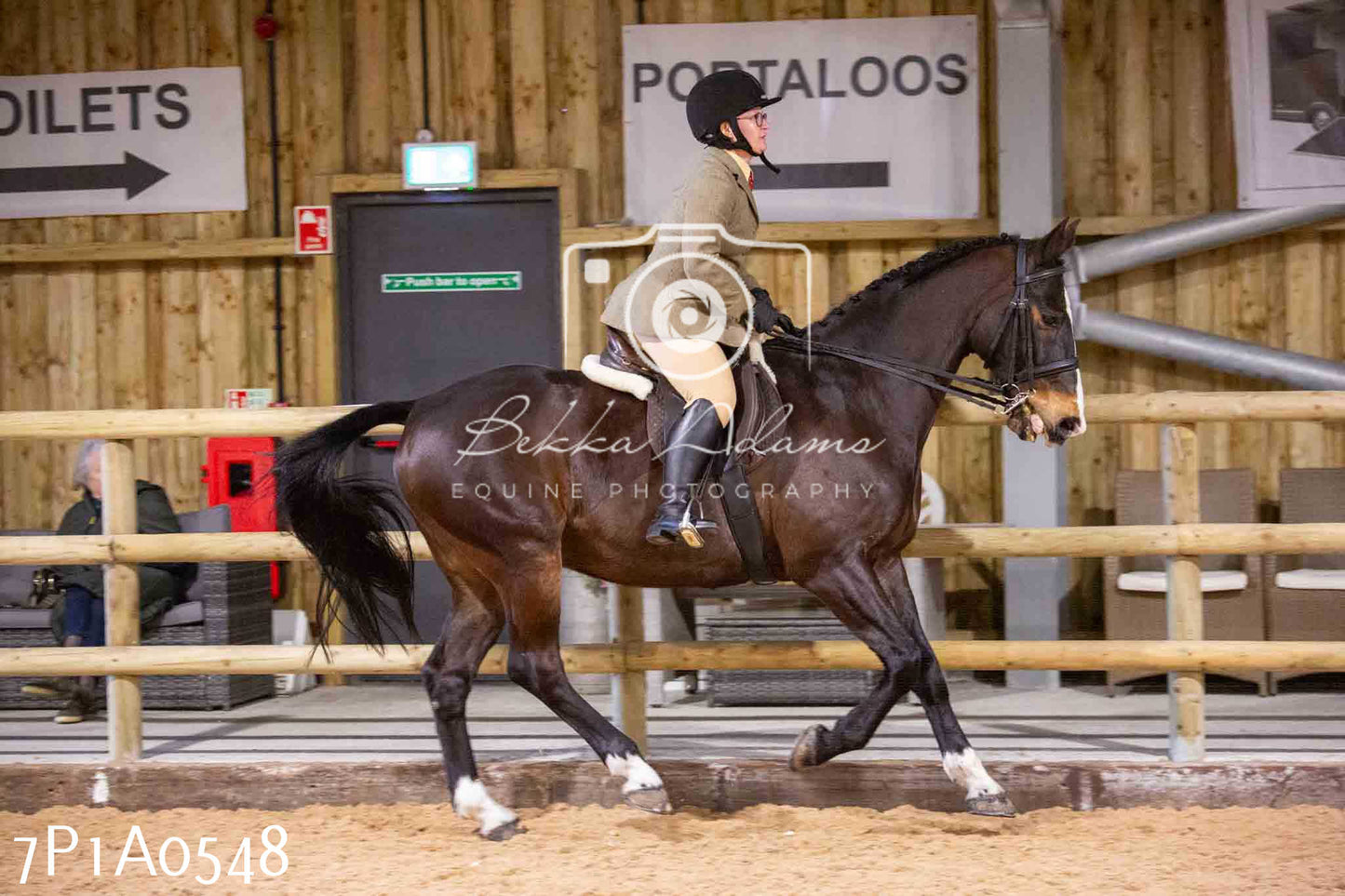 Home Farm Spring Show - Ridden Showing 24th March 2024 - Part 2