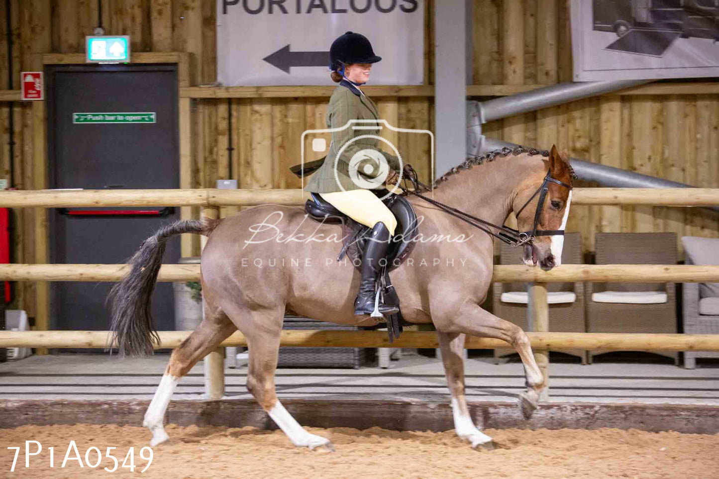 Home Farm Spring Show - Ridden Showing 24th March 2024 - Part 2