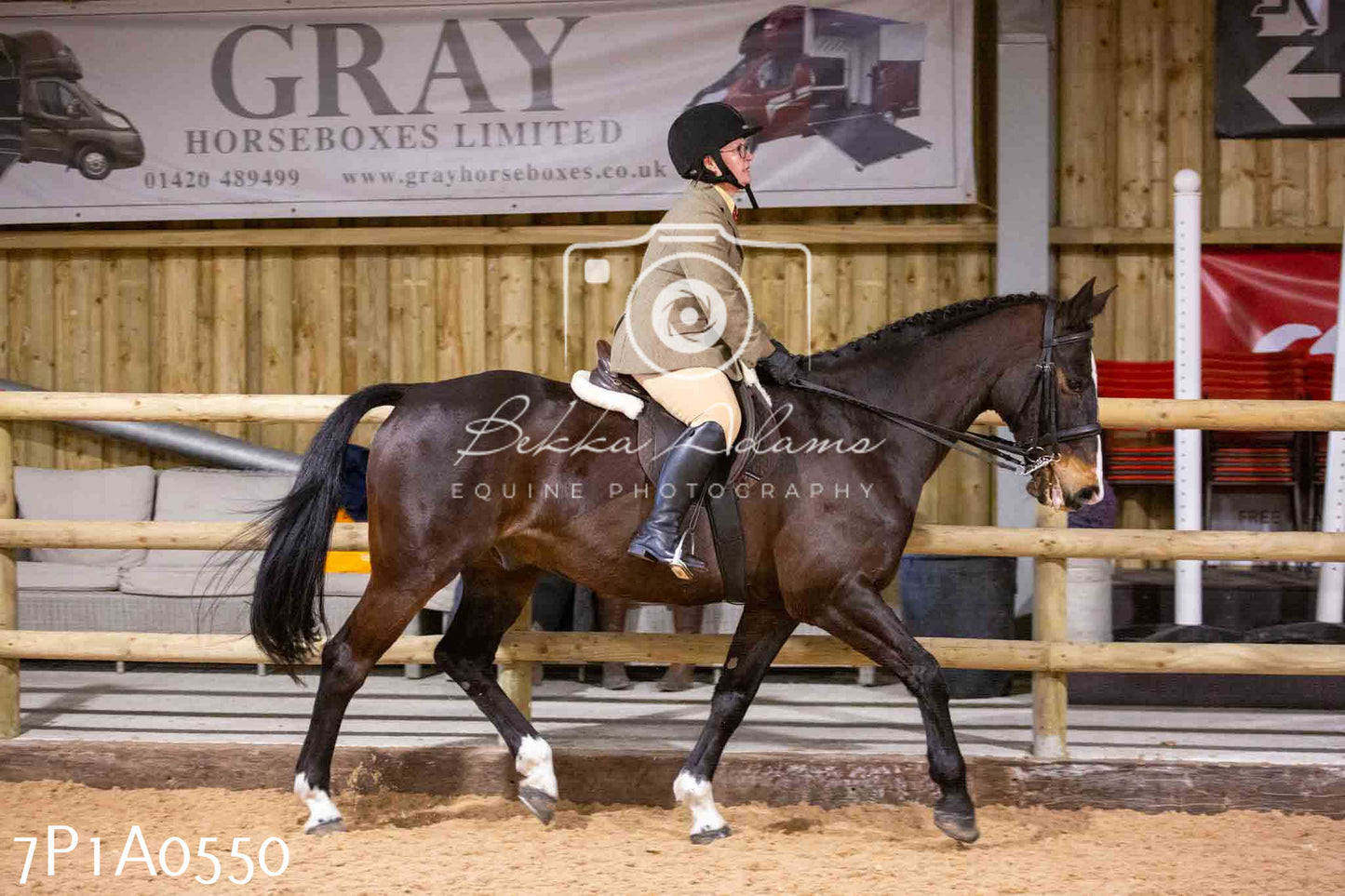 Home Farm Spring Show - Ridden Showing 24th March 2024 - Part 2