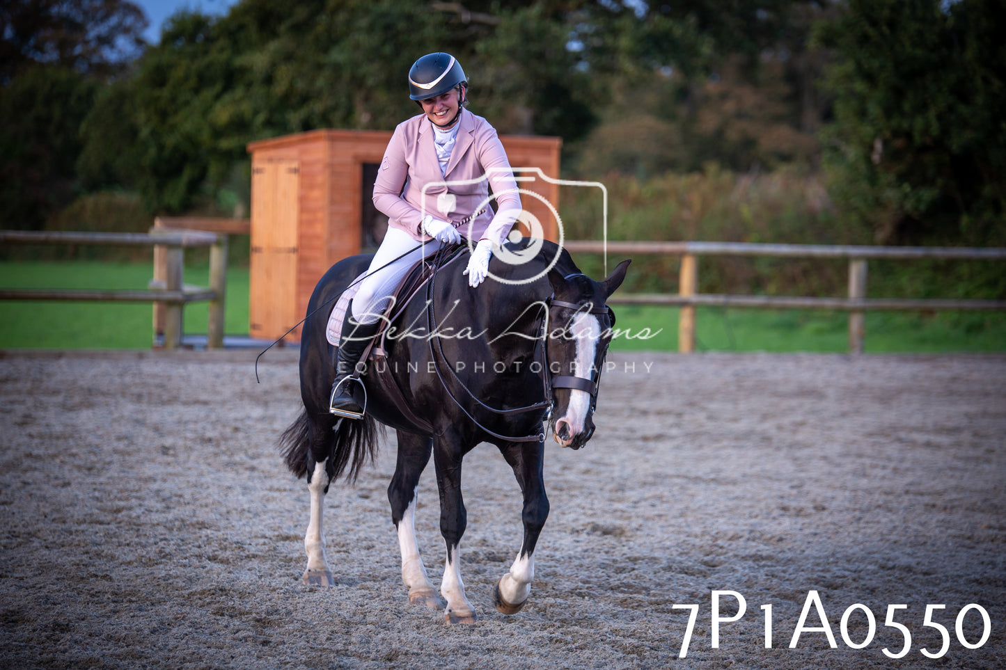JHOYS 2025 - Dressage - 13th September