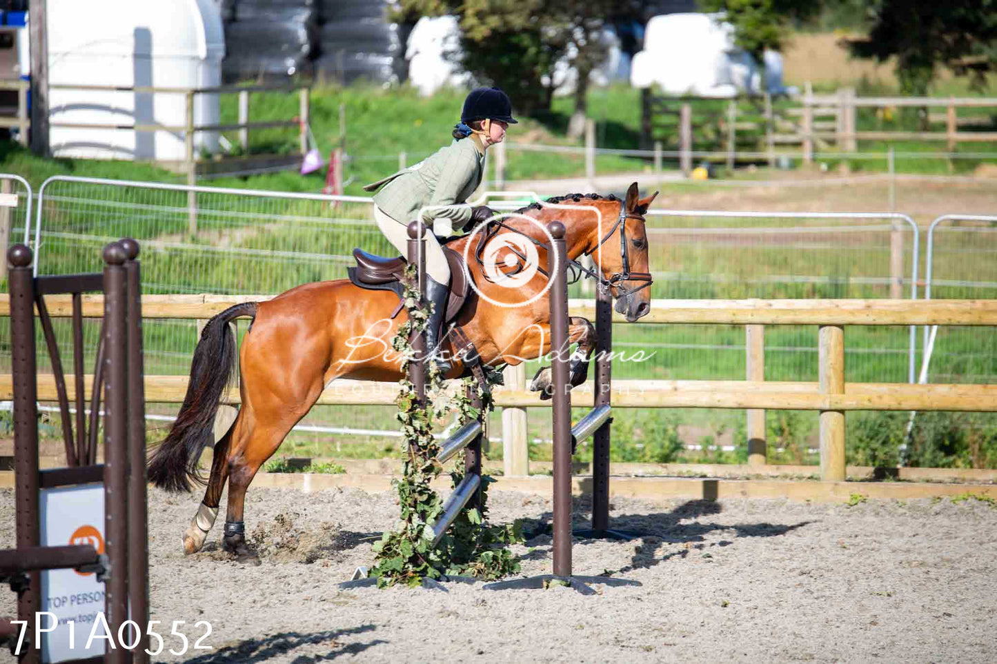 Home Farm Annual Show - Working Hunter 19th August 2023