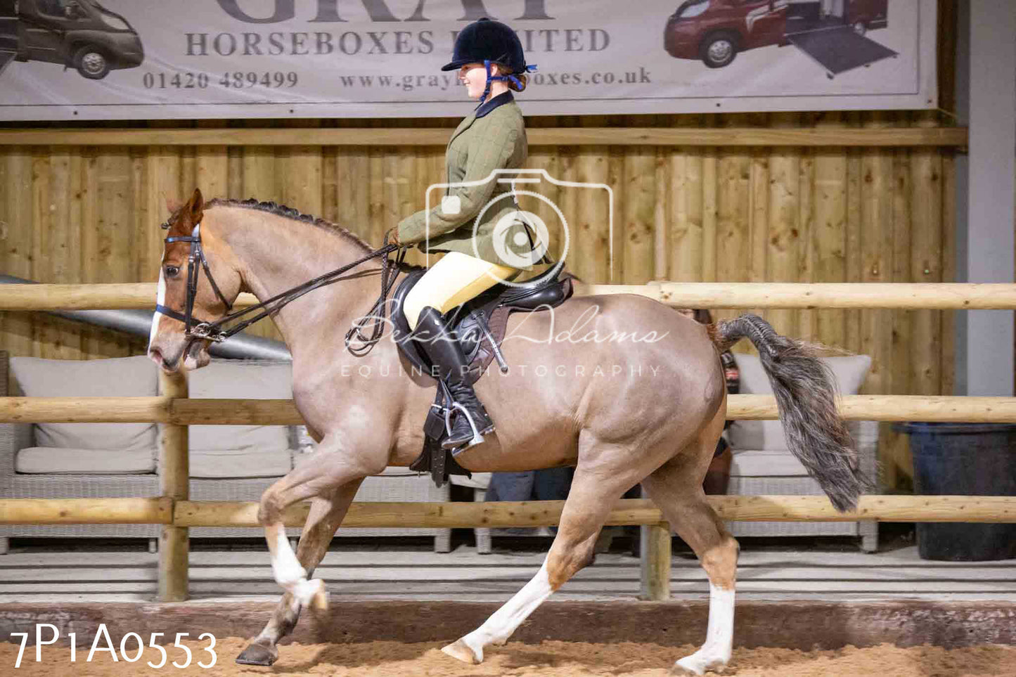 Home Farm Spring Show - Ridden Showing 24th March 2024 - Part 2