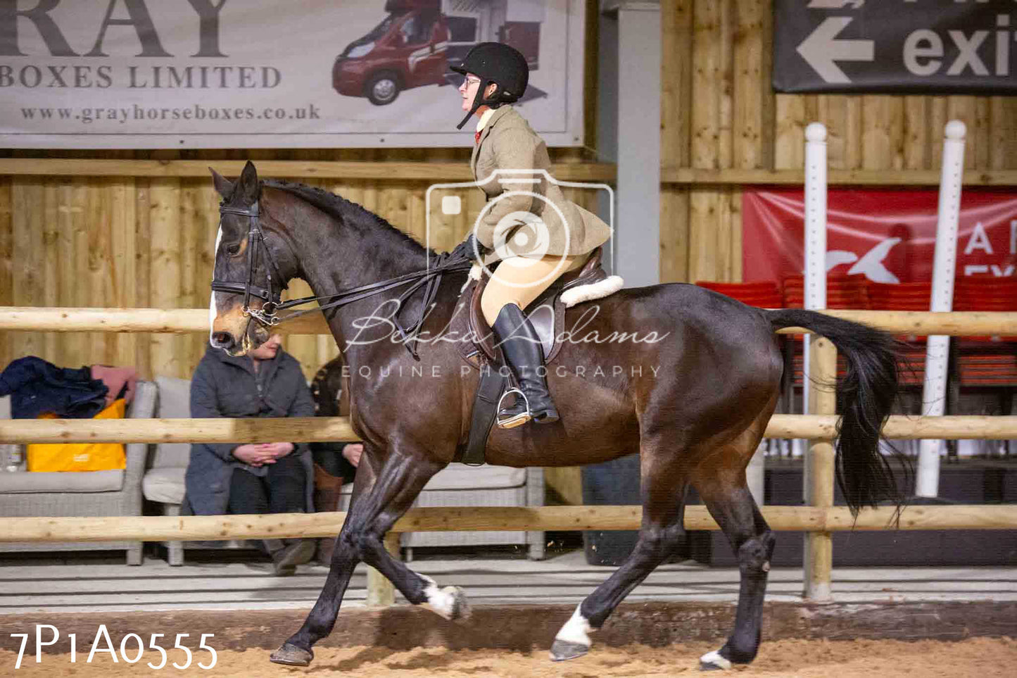 Home Farm Spring Show - Ridden Showing 24th March 2024 - Part 2