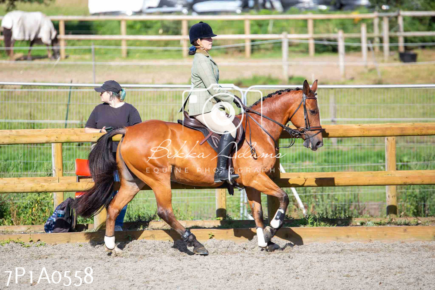 Home Farm Annual Show - Working Hunter 19th August 2023