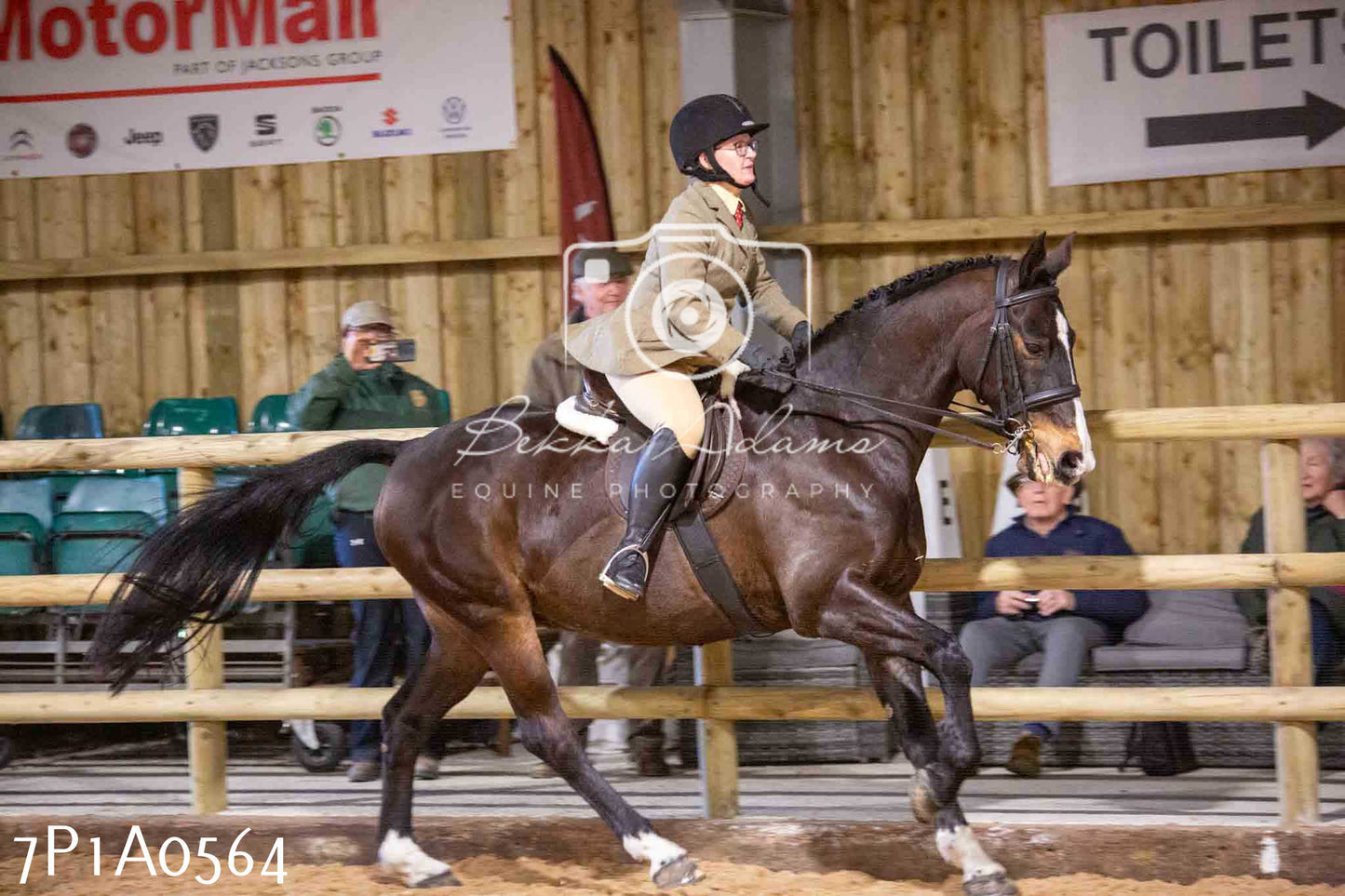 Home Farm Spring Show - Ridden Showing 24th March 2024 - Part 2