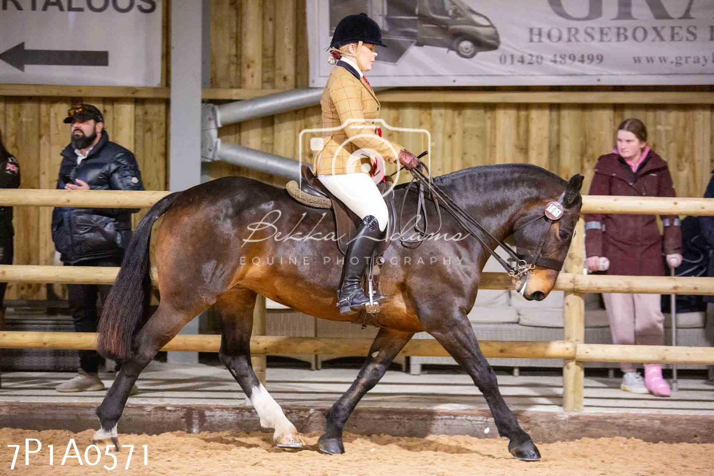 Home Farm Spring Show - Ridden Showing 24th March 2024 - Part 2