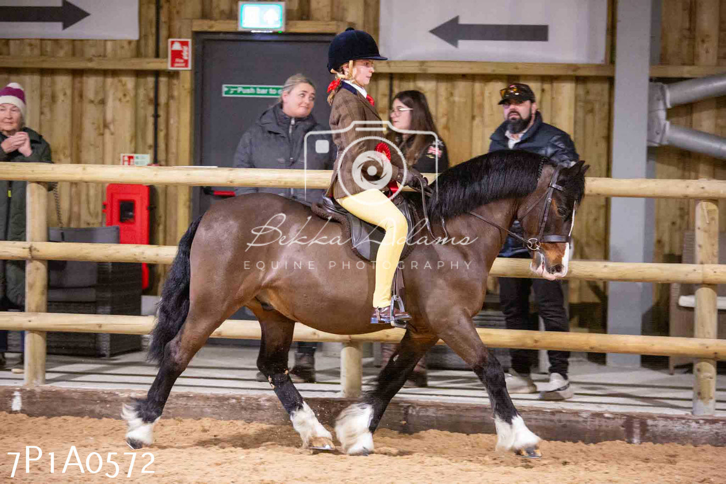 Home Farm Spring Show - Ridden Showing 24th March 2024 - Part 2