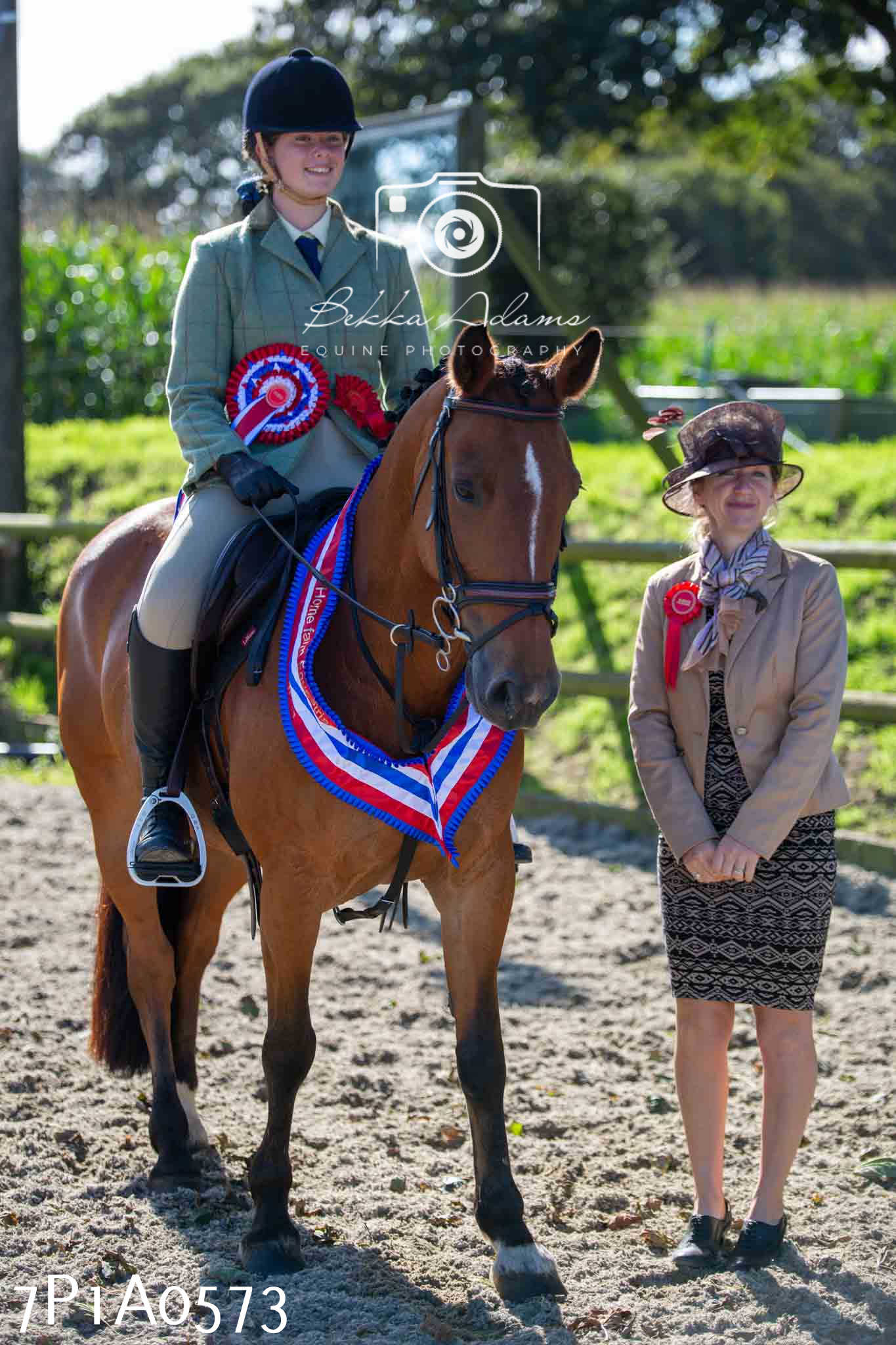 Home Farm Annual Show - Working Hunter 19th August 2023