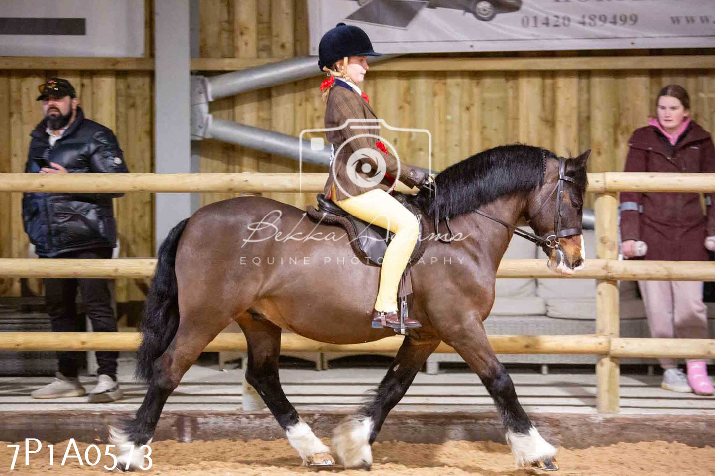Home Farm Spring Show - Ridden Showing 24th March 2024 - Part 2
