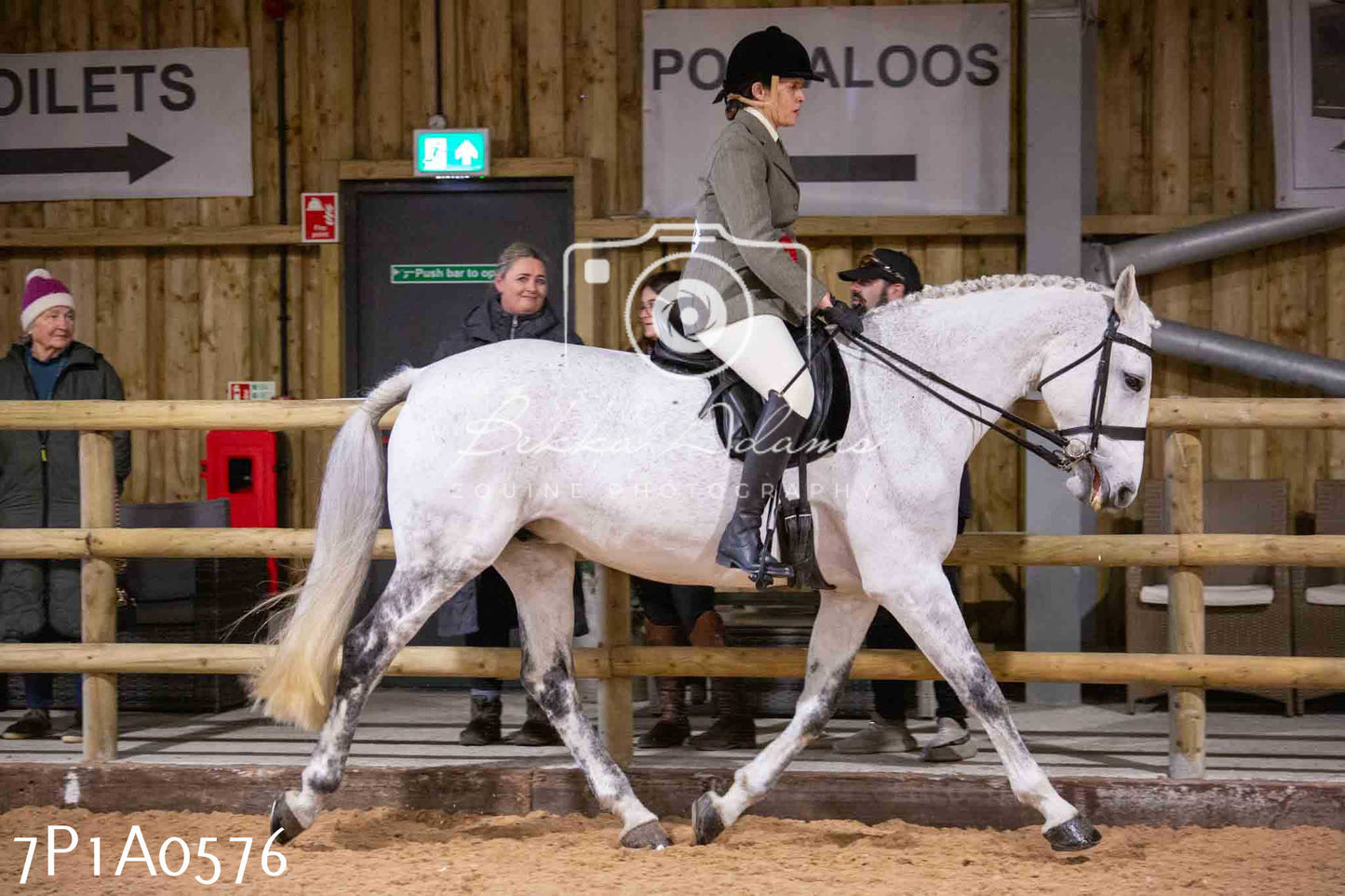 Home Farm Spring Show - Ridden Showing 24th March 2024 - Part 2