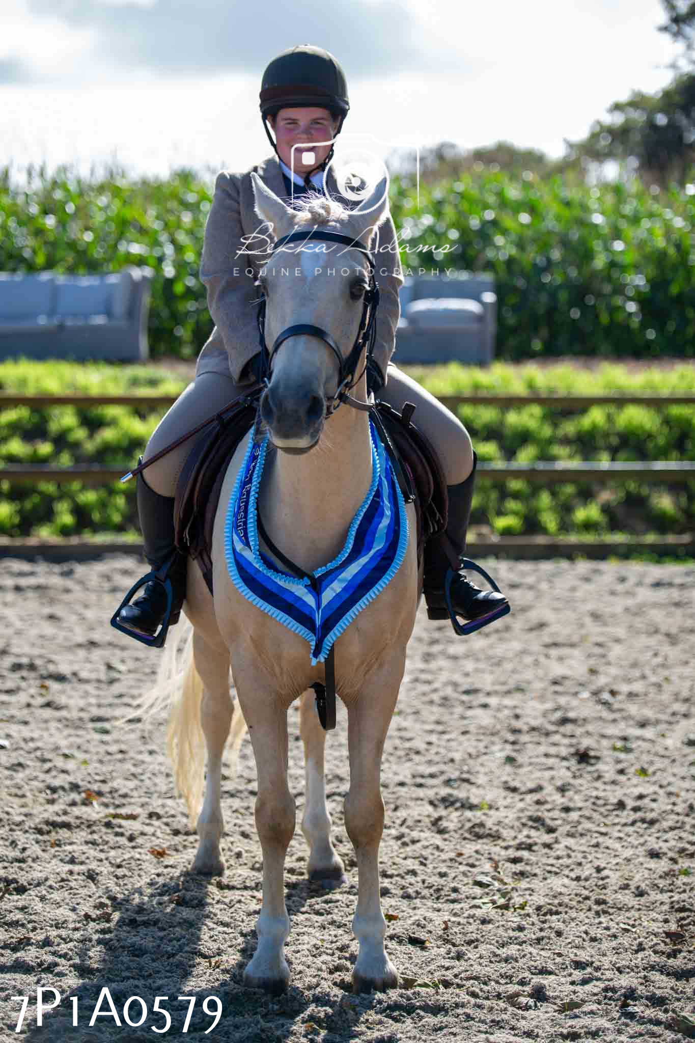 Home Farm Annual Show - Working Hunter 19th August 2023