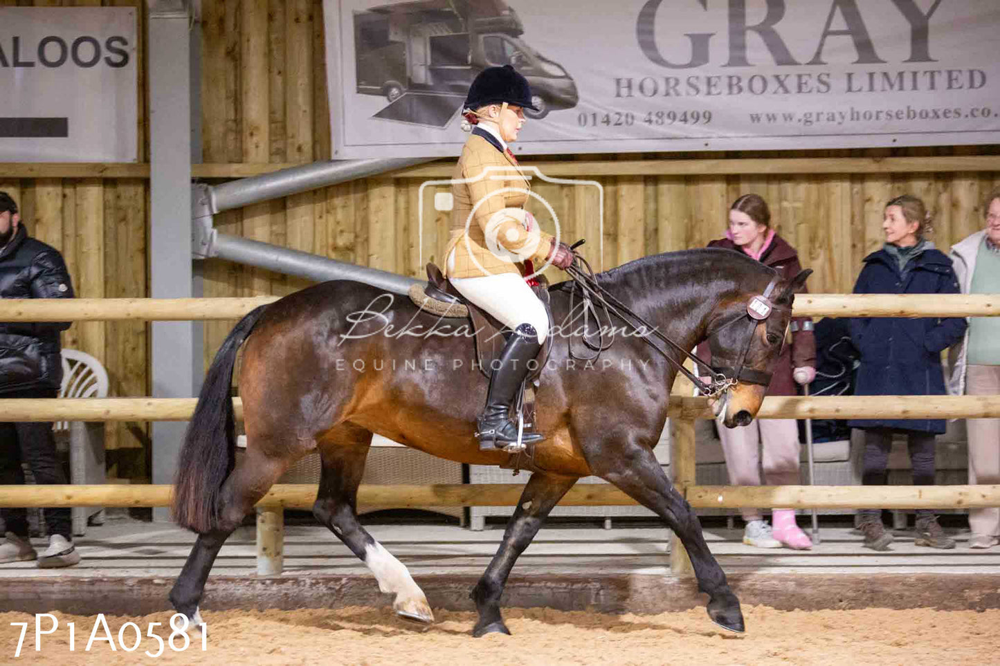 Home Farm Spring Show - Ridden Showing 24th March 2024 - Part 2